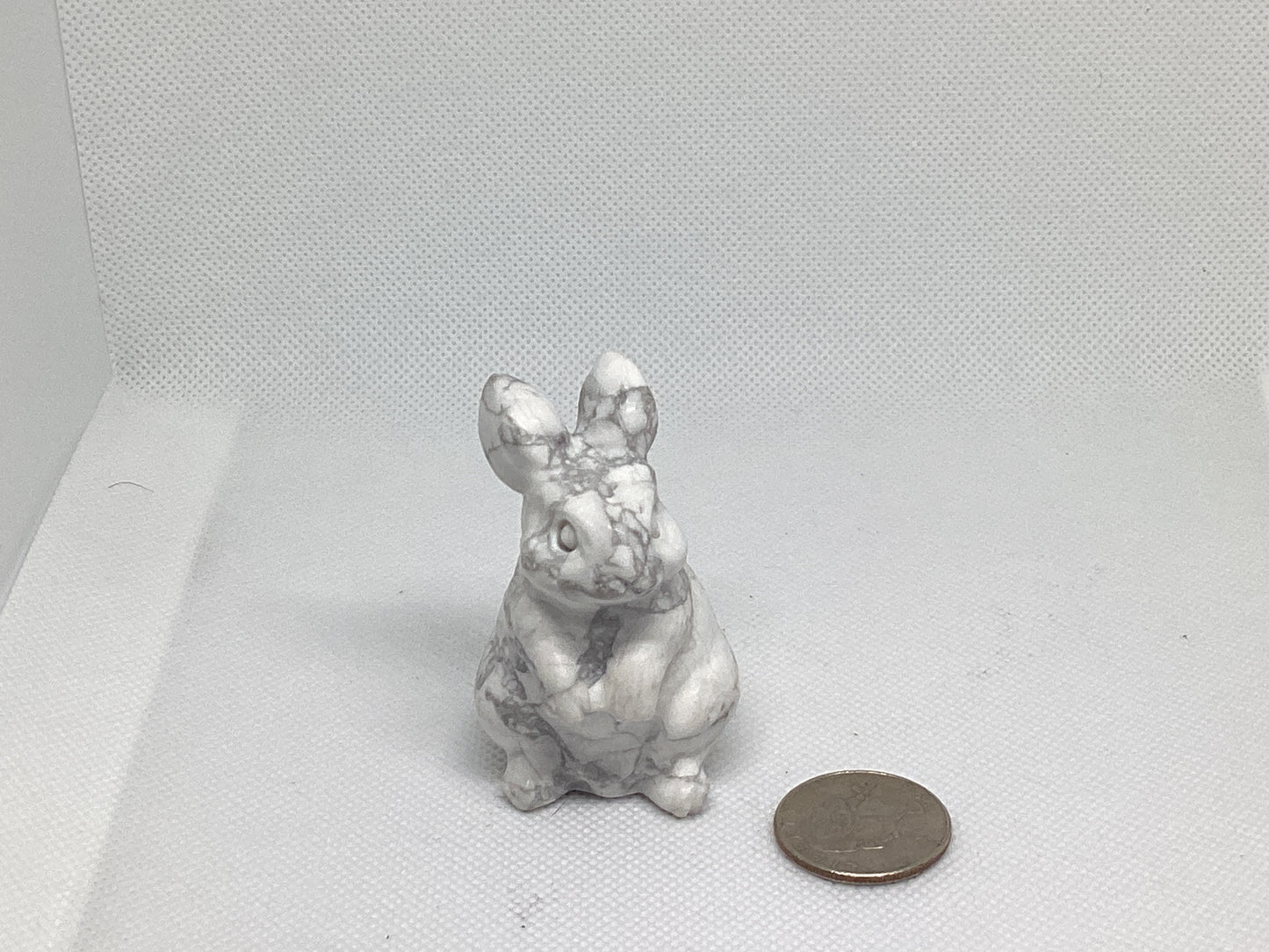 HOWLITE RABBBIT