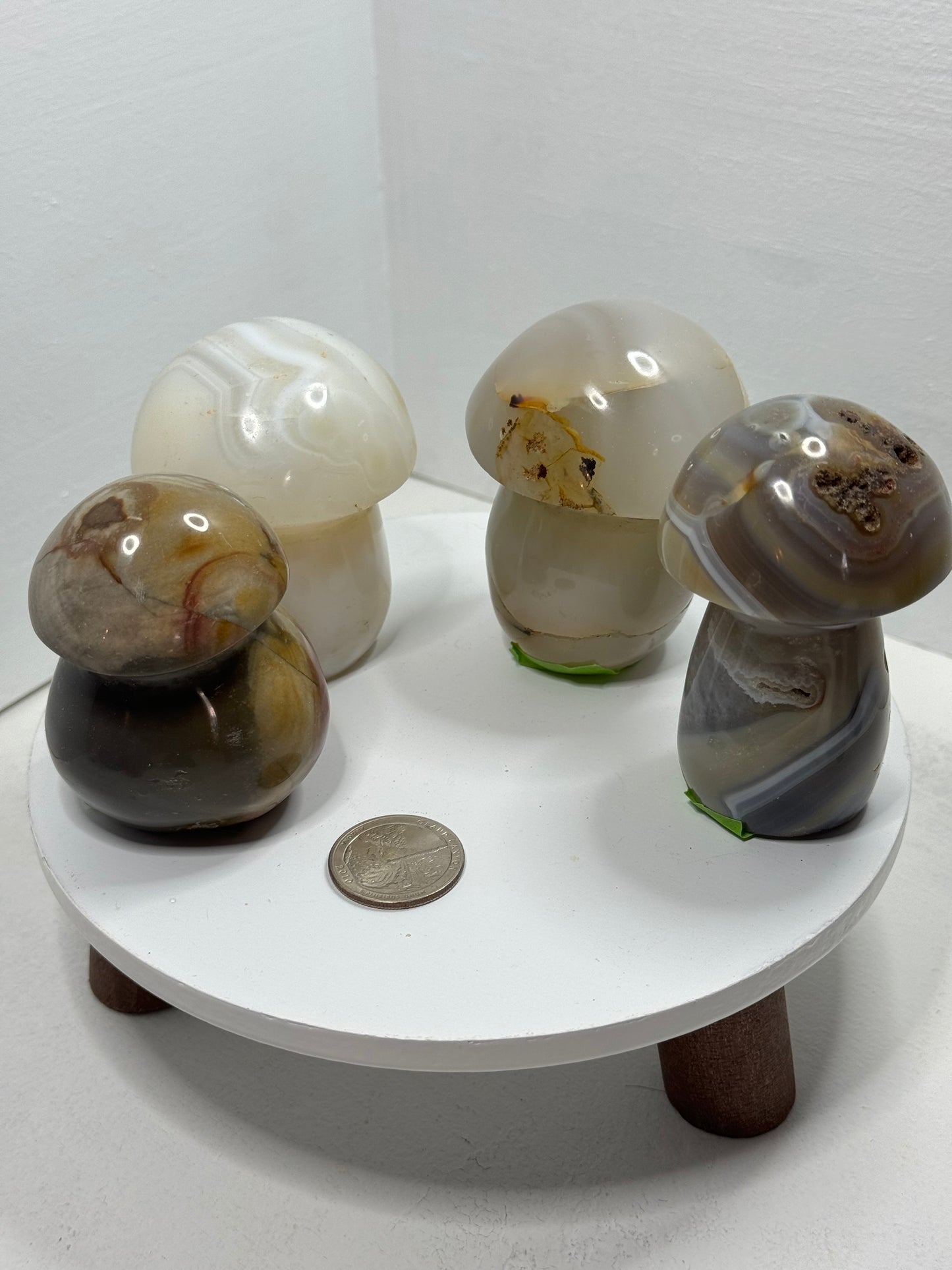 LARGE MUSHROOMS CARVINGS