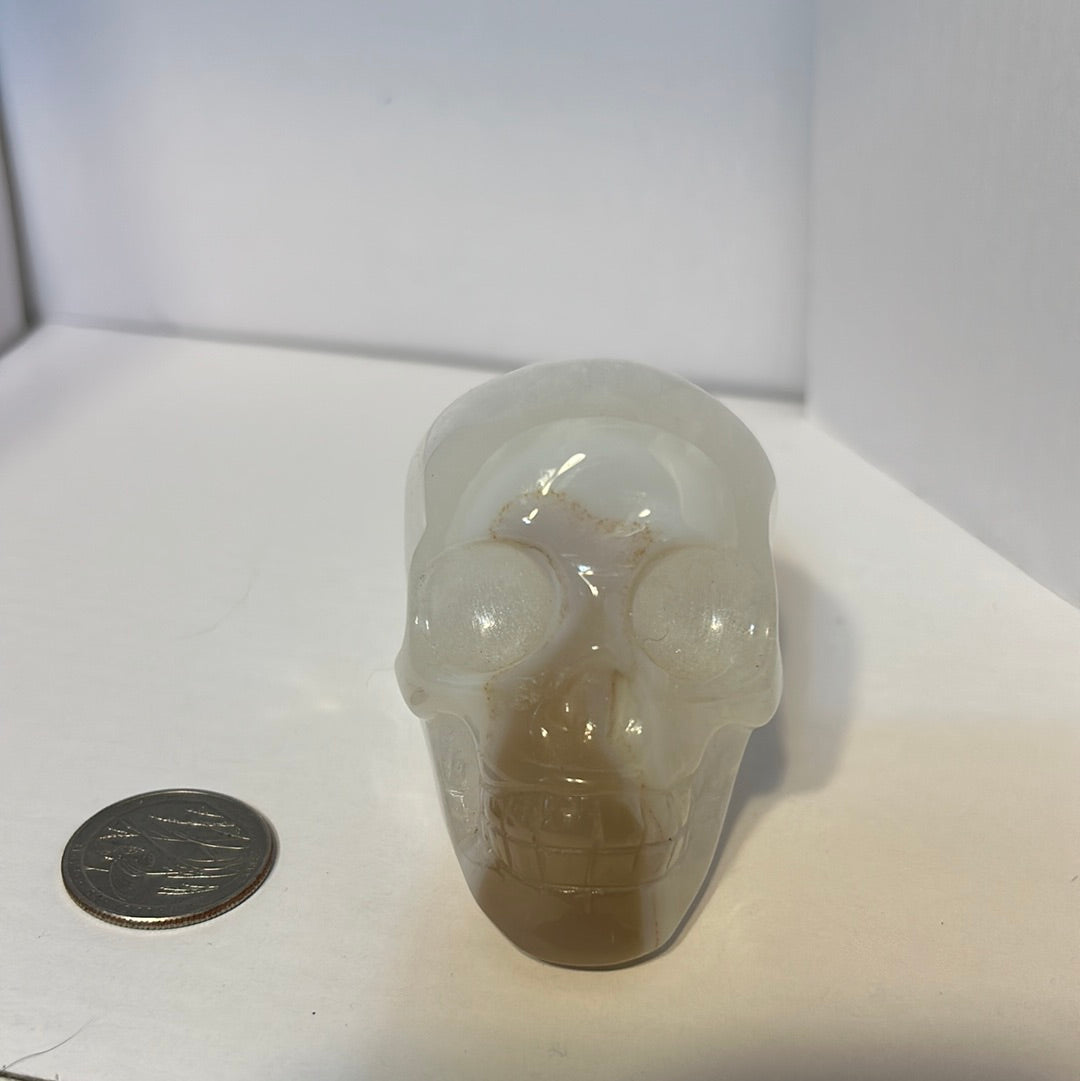 FLOWER AGATE SKULL-growth, manifestation, transformation