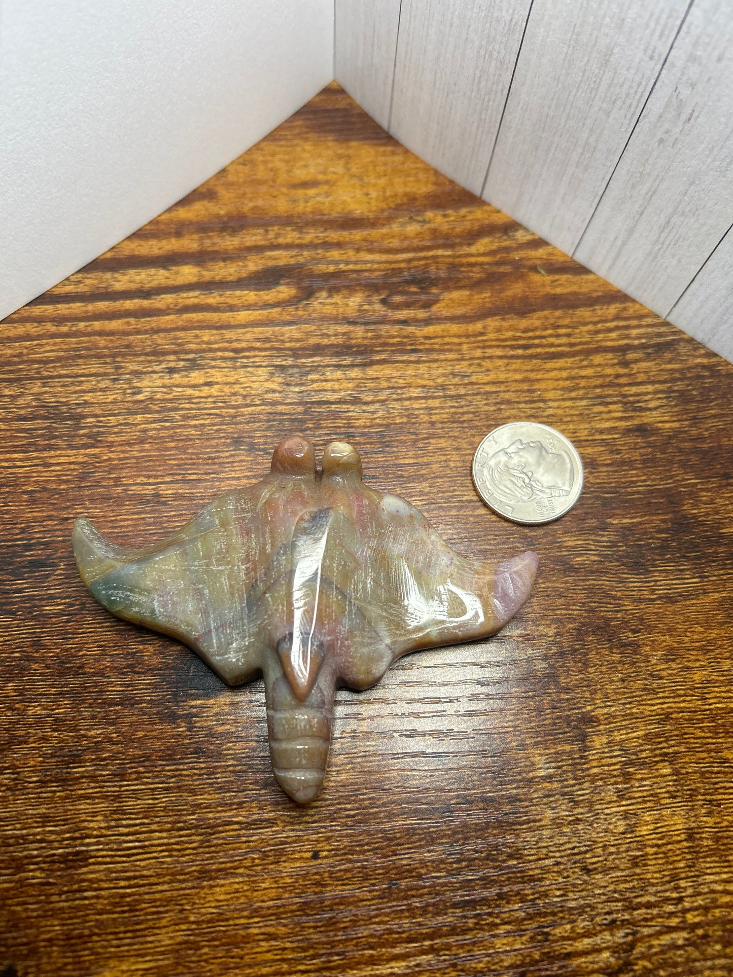 Stingray