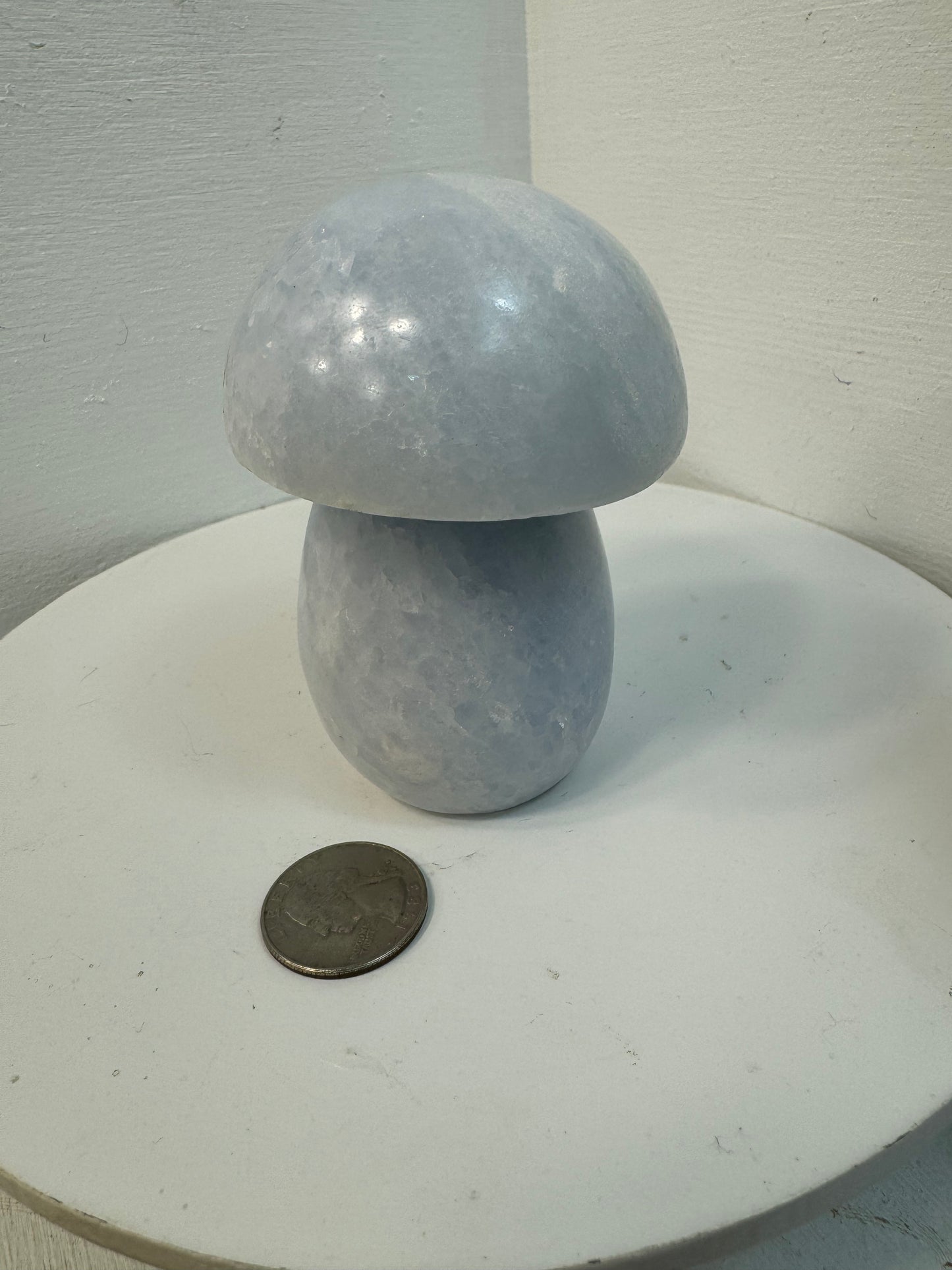 CELESTINE MUSHROOM- Serenity, Spiritual Connection, Inner Peace