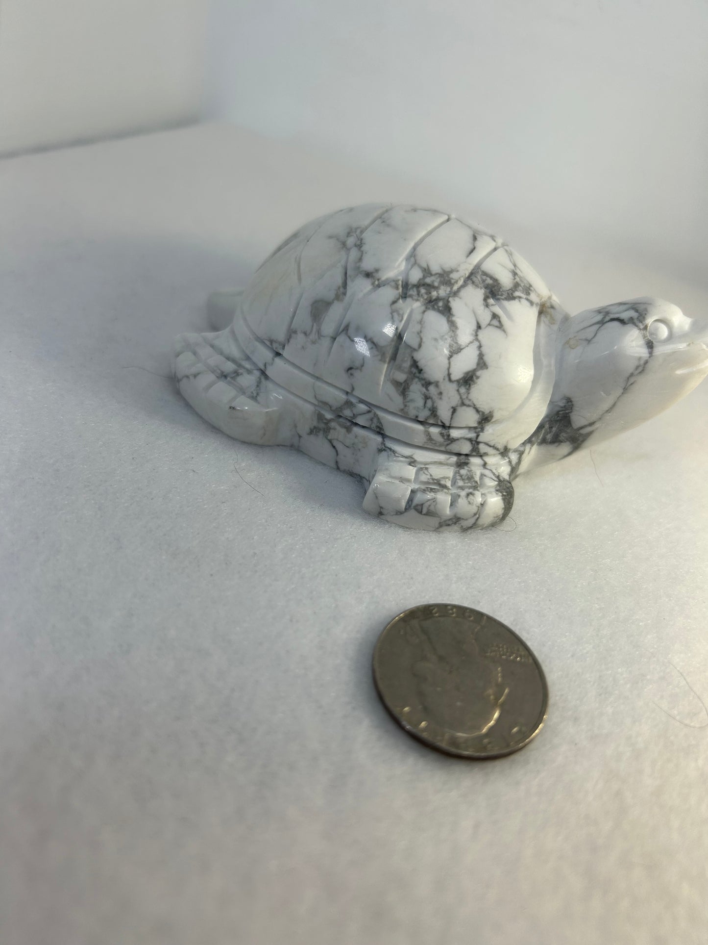 HOWLITE TURTLE CARVING-intuition, protection, and spiritual awakening