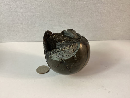 SEPTARIAN DRAGON EGG-Protection, Wisdom, and Ancient Energy