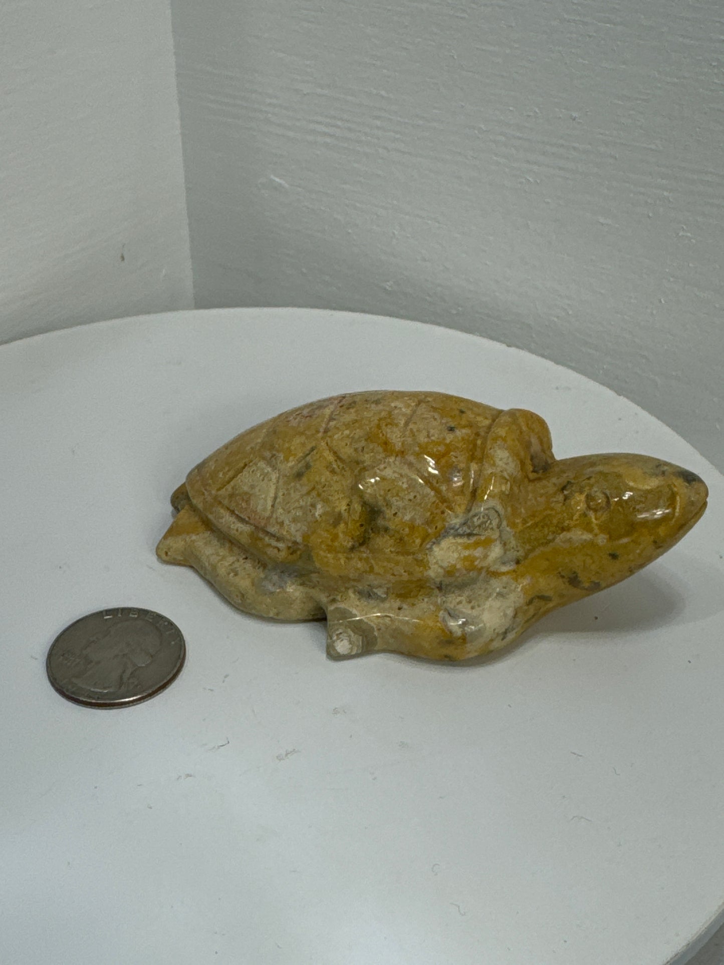 MEXICAN LACE AGATE TURTLE - Harmony, Resilience, and Emotional Healing