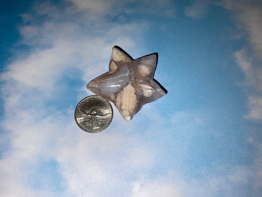 FLOWER AGATE STARFISH- Resilience, Harmony, Flowing Energy
