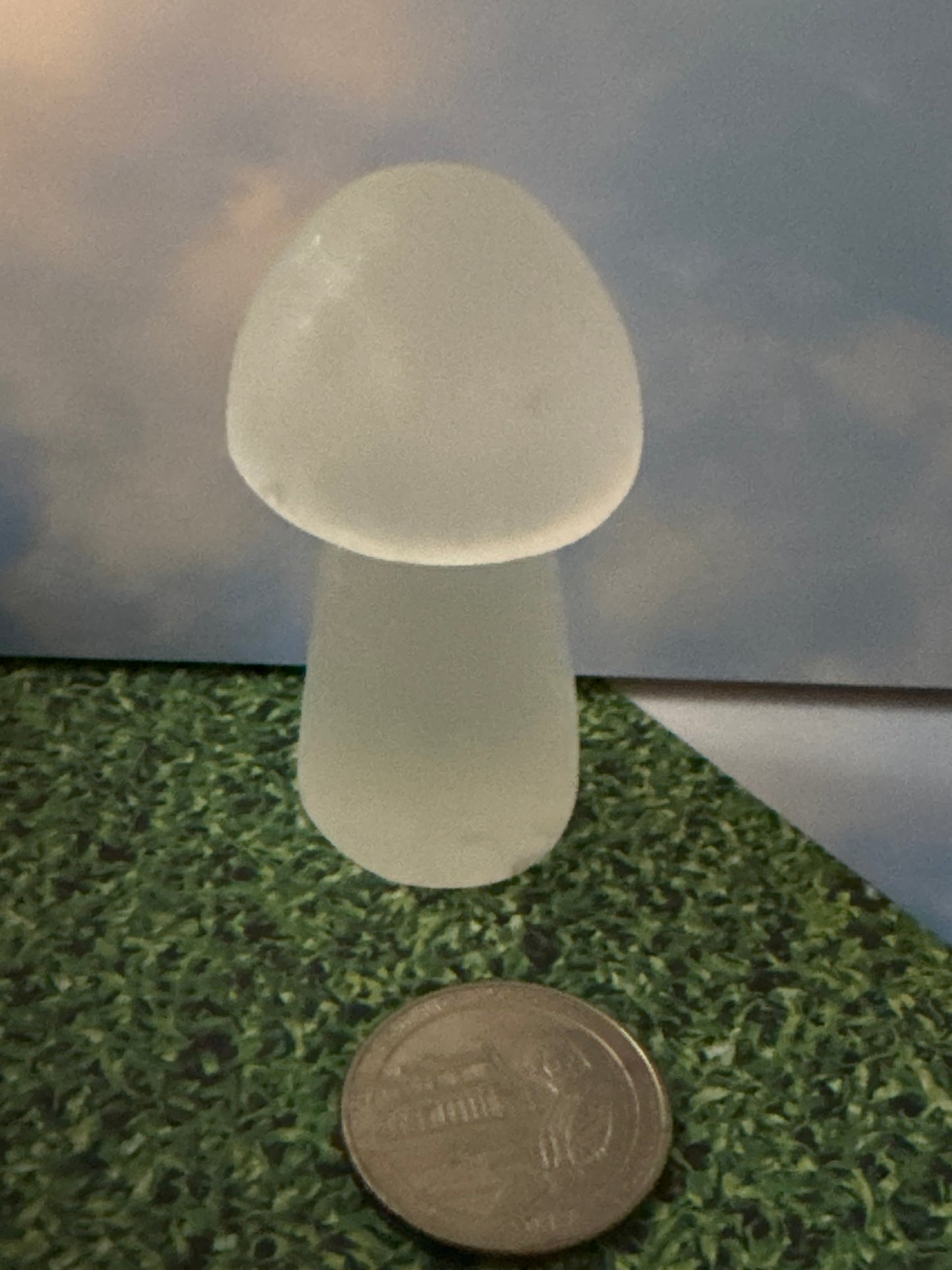 SELENITE MUSHROOM- Clarity, Cleansing, Spiritual Connection