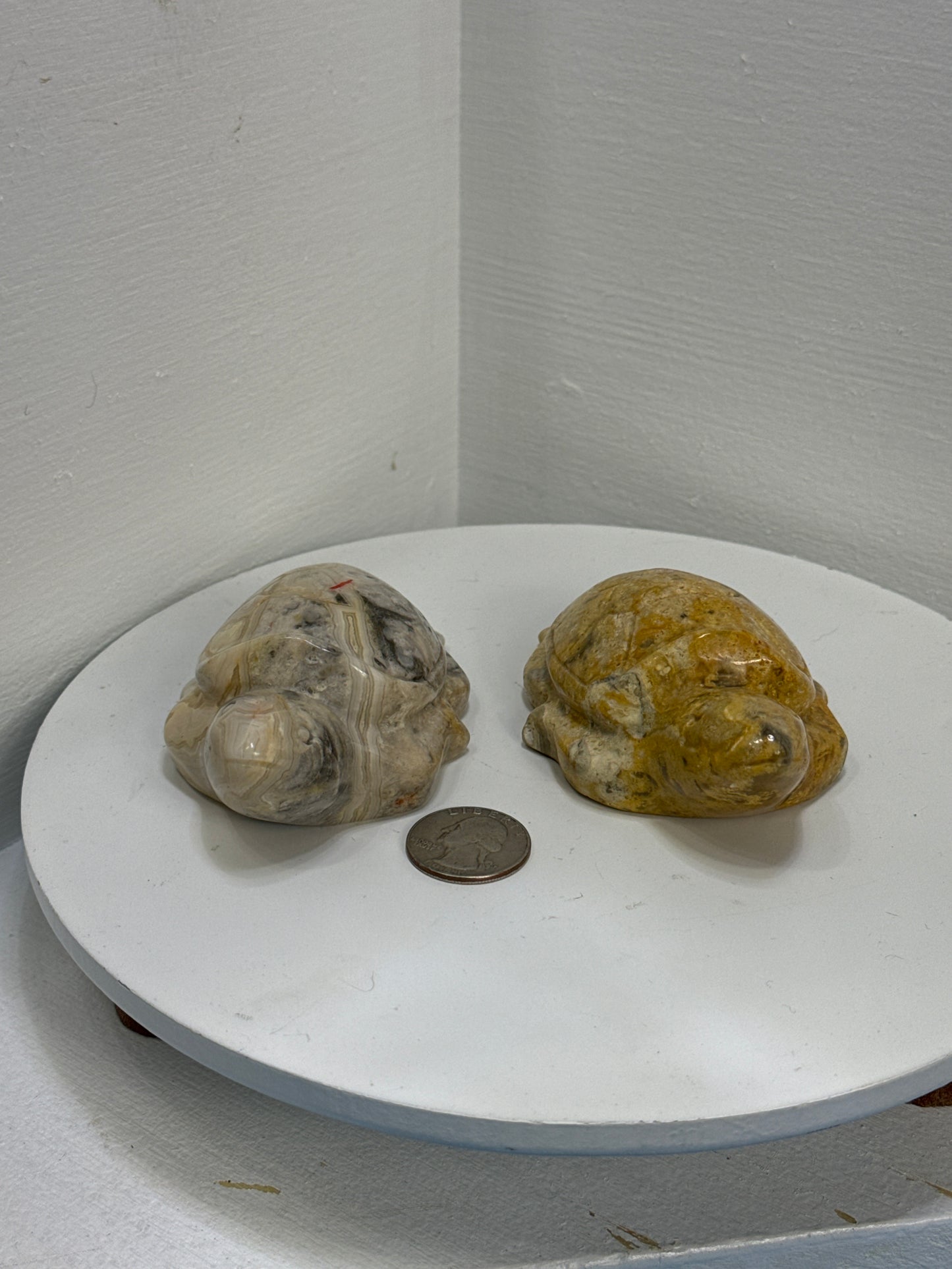 MEXICAN LACE AGATE TURTLE - Harmony, Resilience, and Emotional Healing