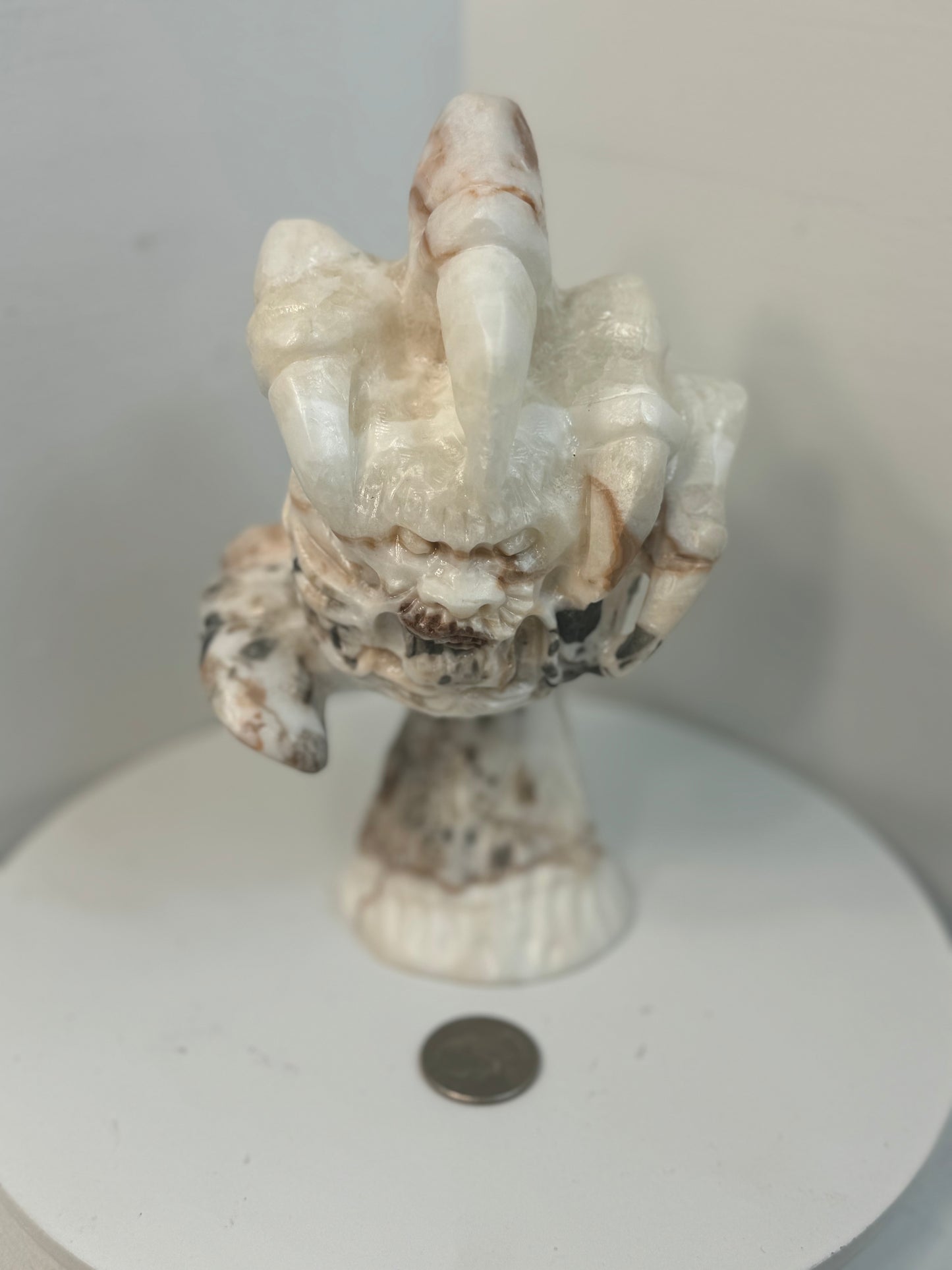 CRAZY LACE CLAW HOLDING DRAGON-Protection, Strength, Joyful Energy