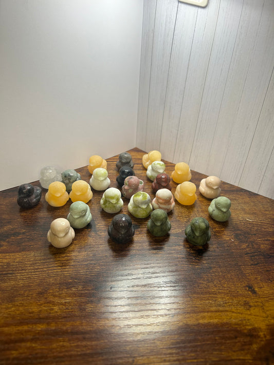 Small ducks