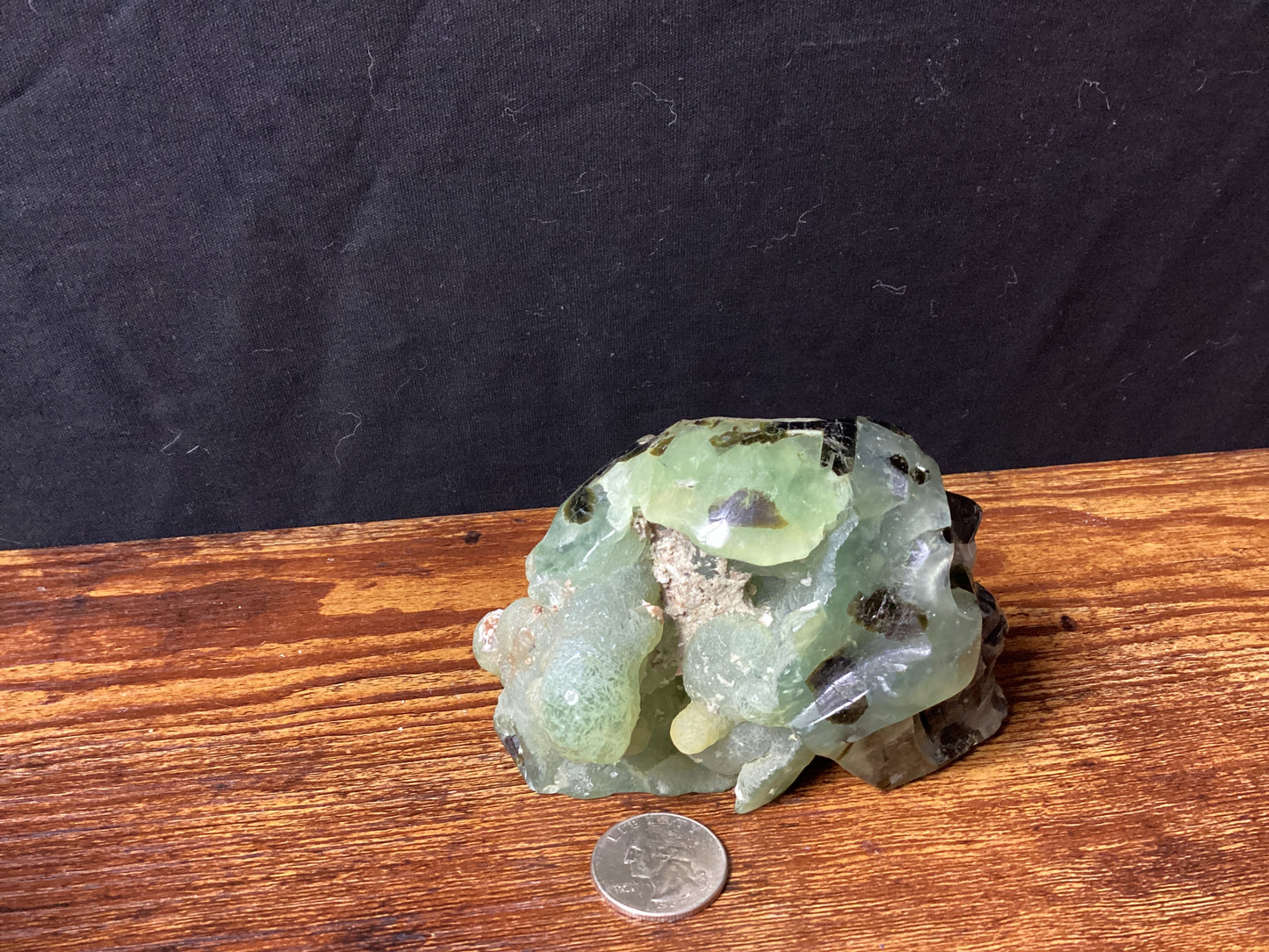 PREHNITE SKULL-Healing, Protection, Inner Peace