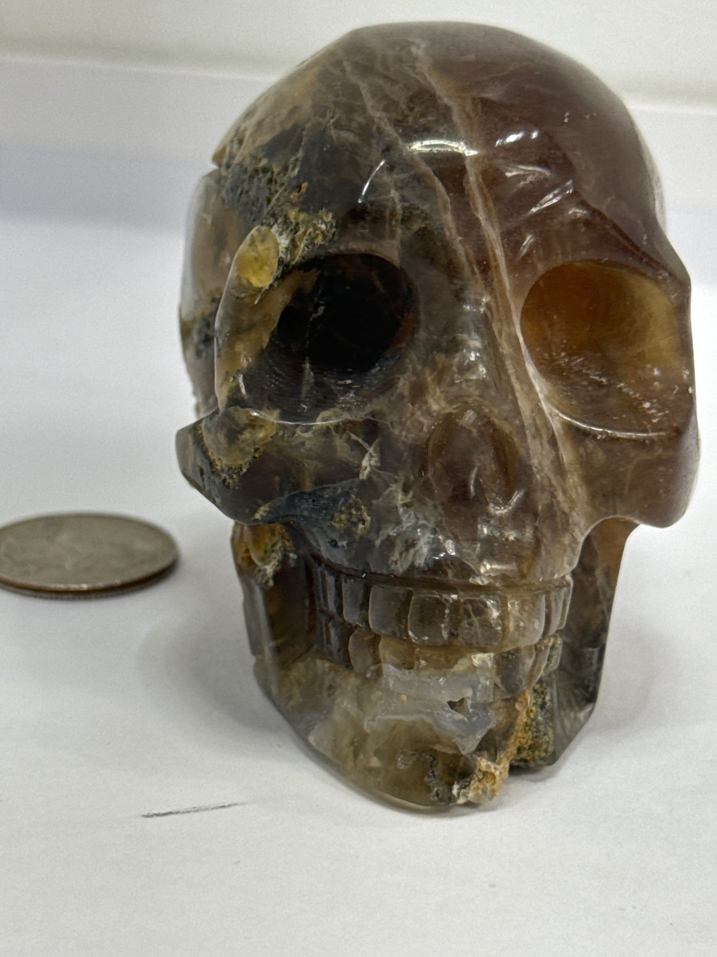 AMBER SKULL-Healing, Protection, Positive Energy