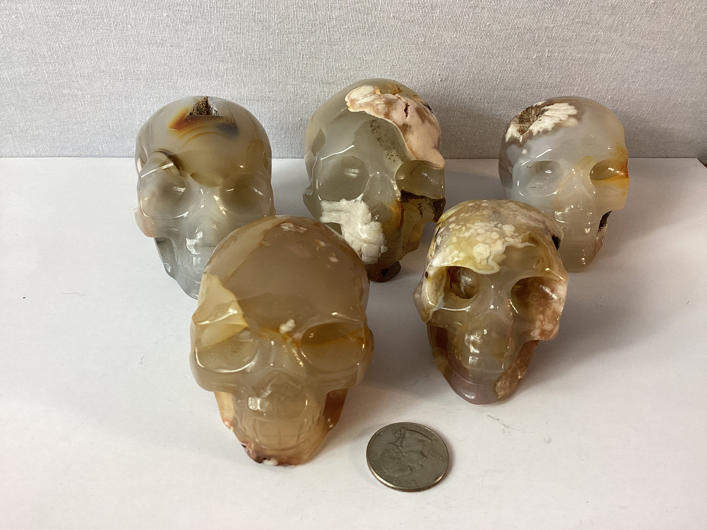FLOWER AGATE SKULL-growth, manifestation, transformation