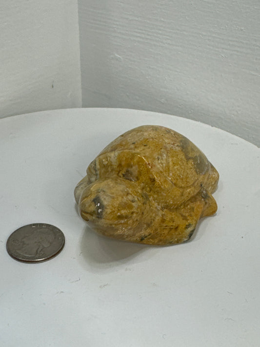 MEXICAN LACE AGATE TURTLE - Harmony, Resilience, and Emotional Healing