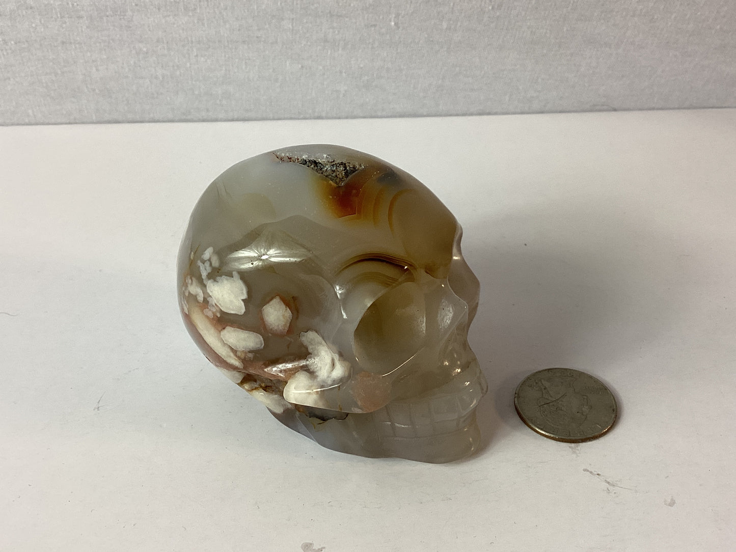 FLOWER AGATE SKULL-growth, manifestation, transformation