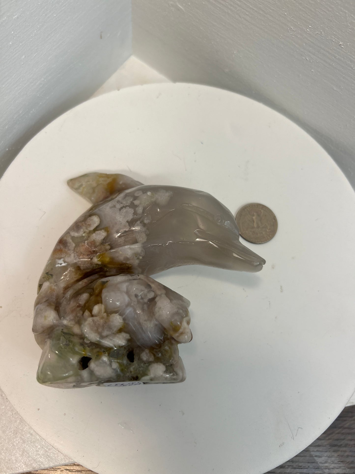 FLOWER AGATE DOLPHIN-Joy, Growth, Emotional Healing