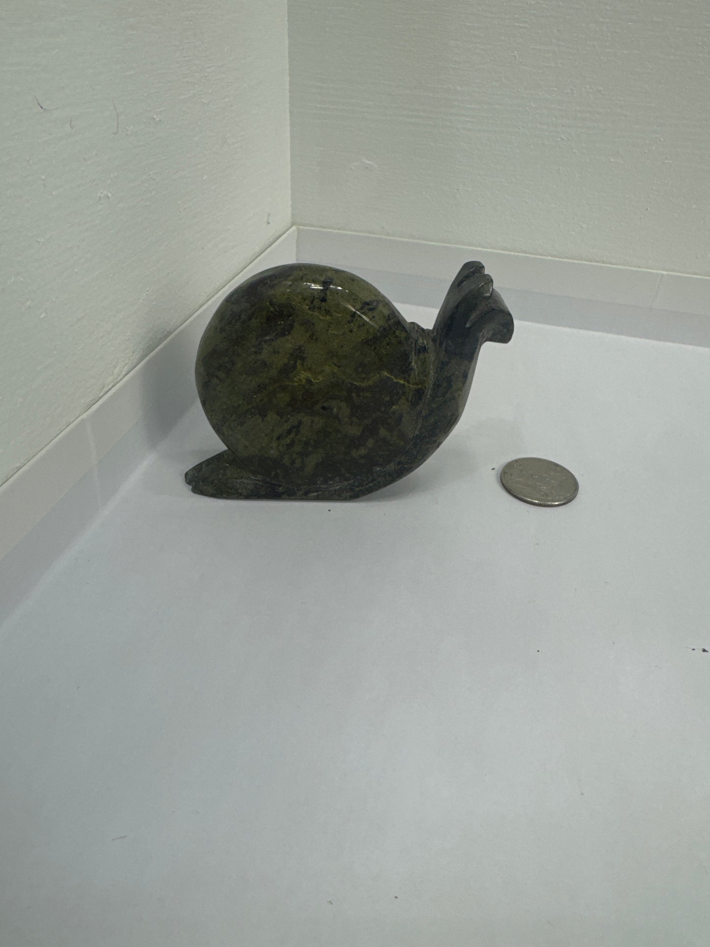 SNAIL CARVINGS- Patience, Persistence, and Grounding