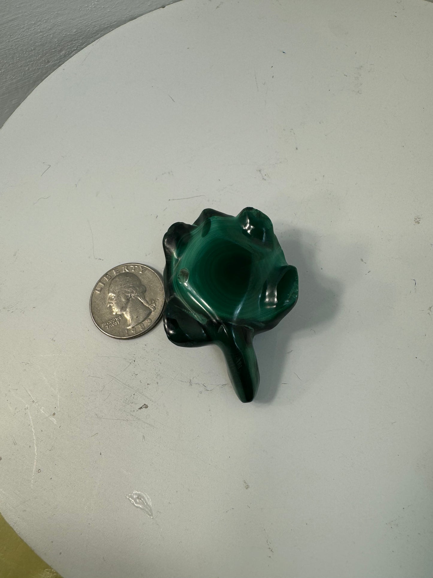 MALACHITE TURTLE- Transformation, Protection, Growth