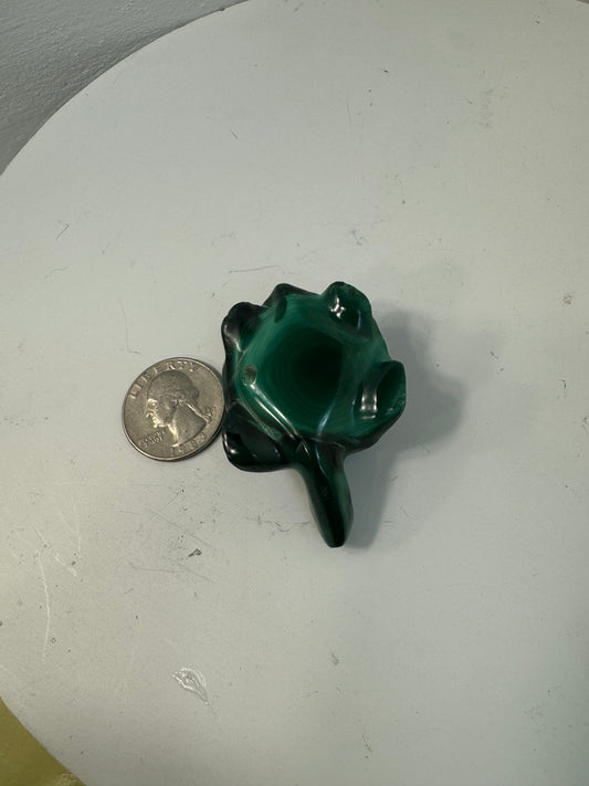 MALACHITE TURTLE- Transformation, Protection, Growth