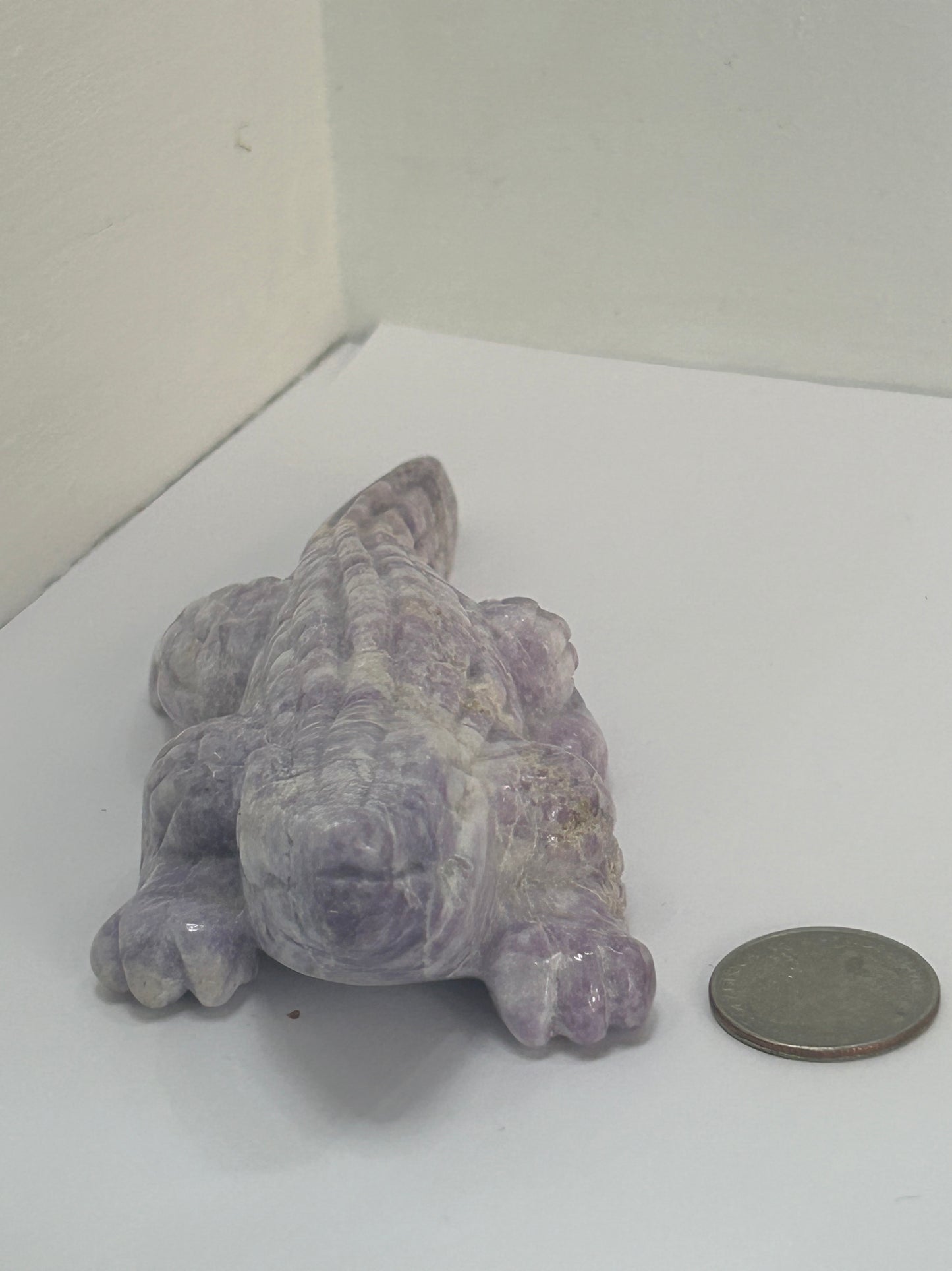 PURPLE JADE ALLIGATOR