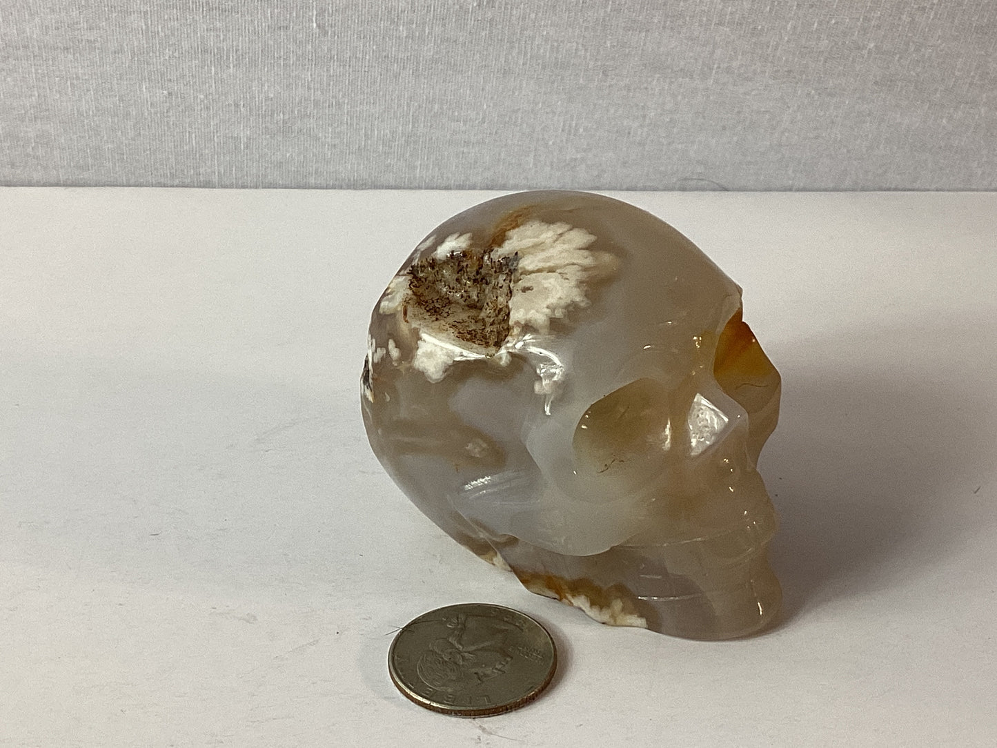 FLOWER AGATE SKULL-growth, manifestation, transformation