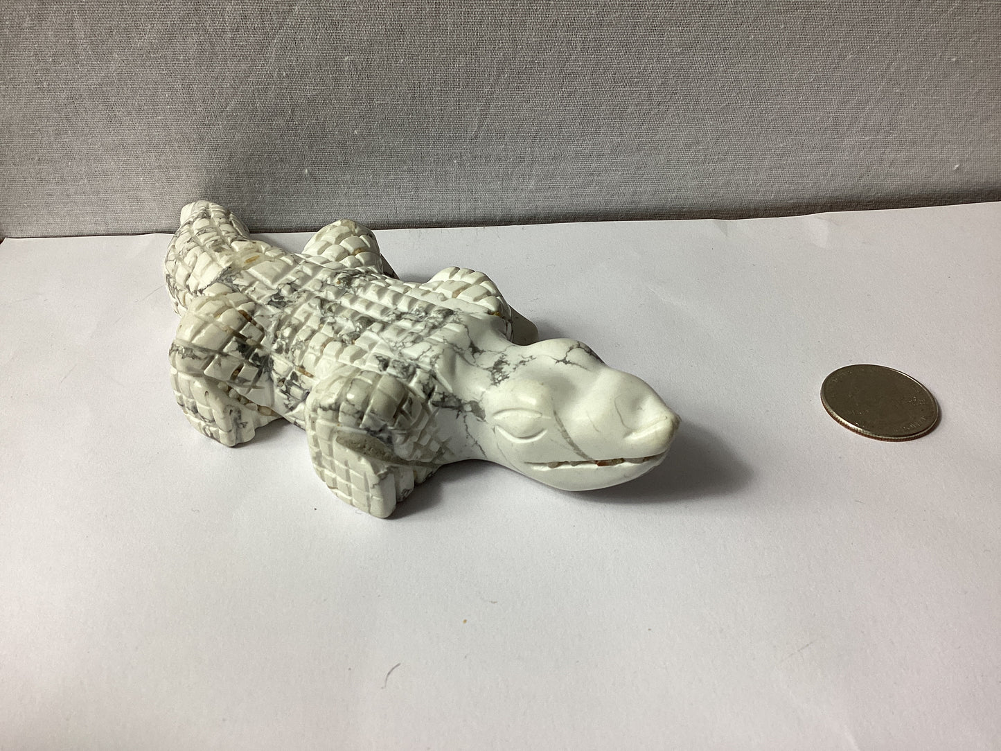 HOWLITE ALLIGATOR