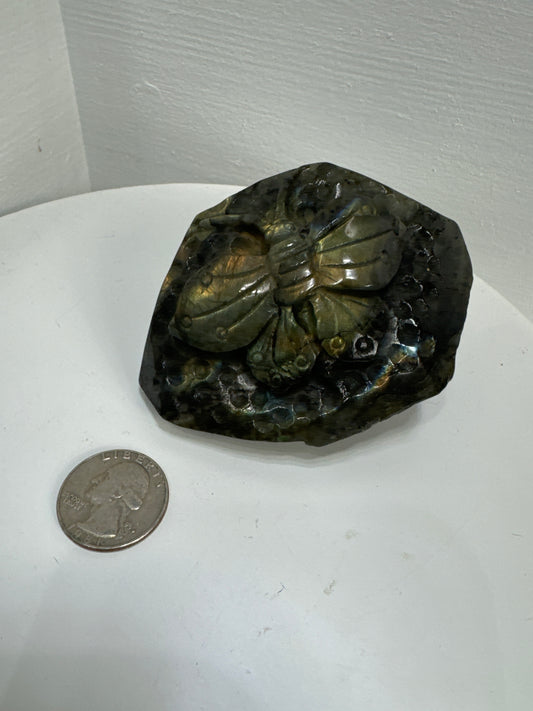 LABRADORITE BUTTERFLY FOSSIL- Transformation, Intuition, and Protection