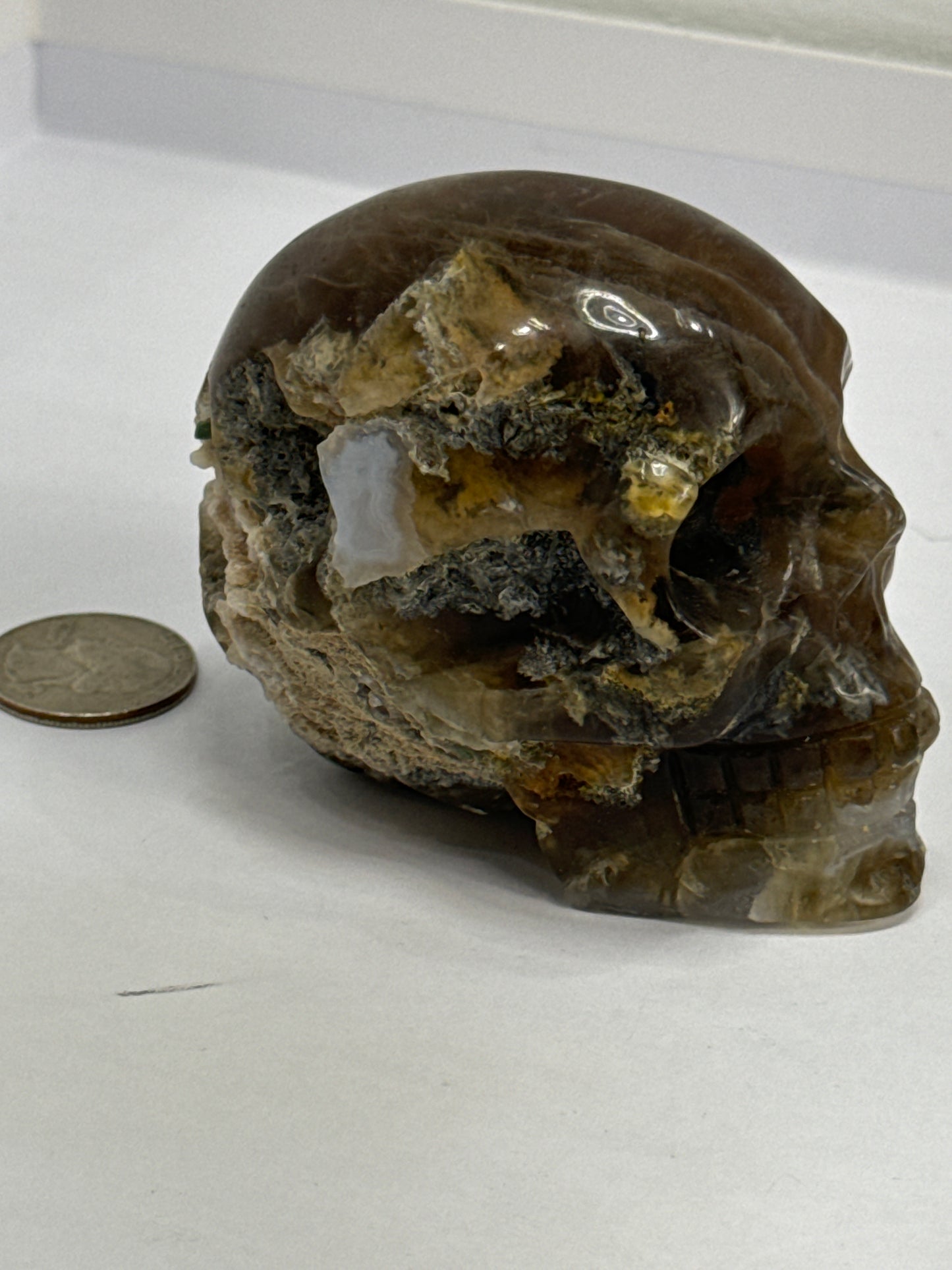 AMBER SKULL-Healing, Protection, Positive Energy