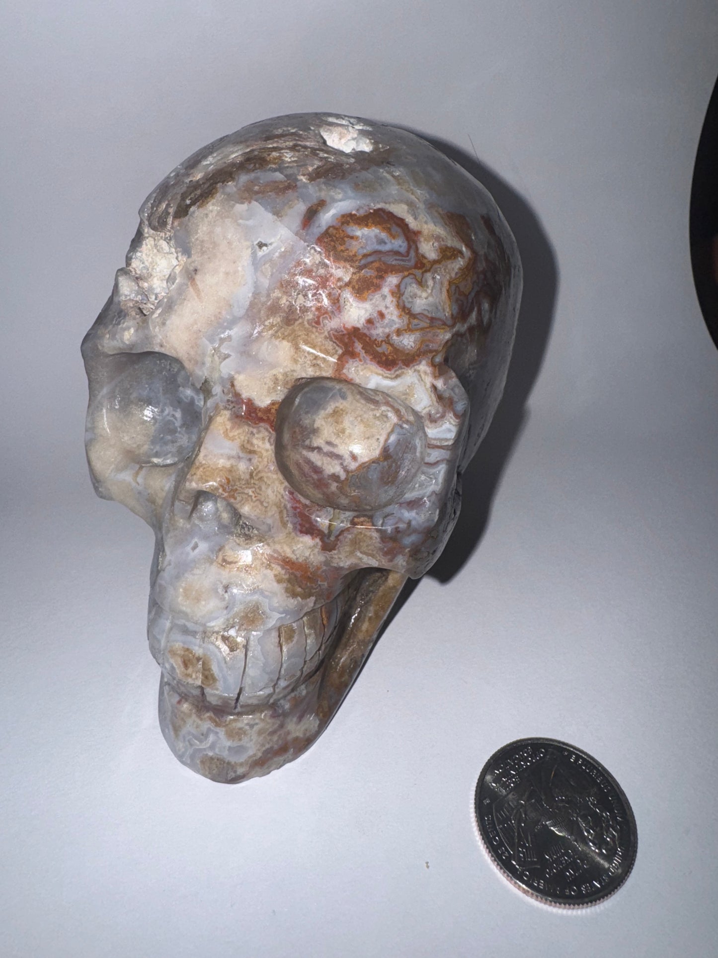 FLOWER AGATE SKULL-growth, manifestation, transformation