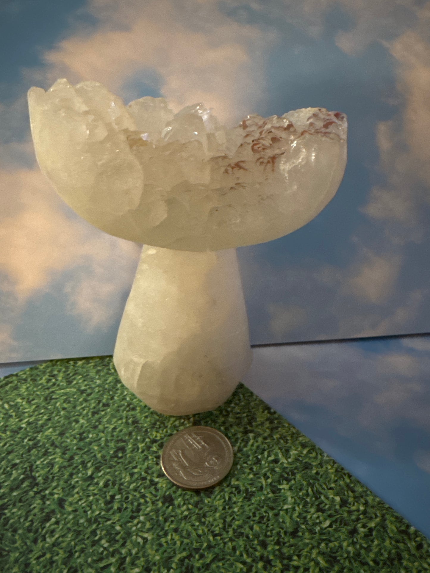 SELENITE MUSHROOM- Clarity, Cleansing, Spiritual Connection