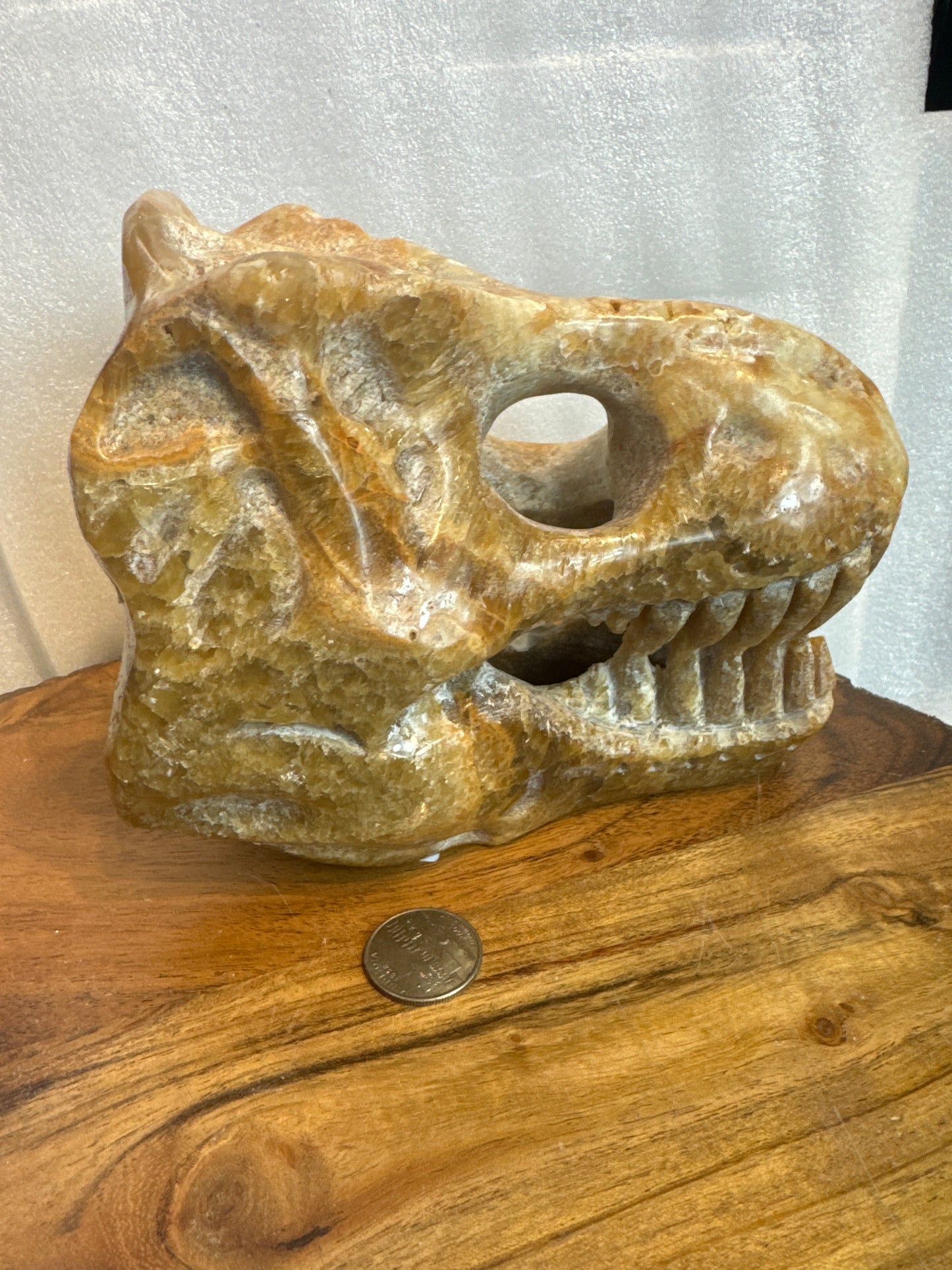 CHOCOLATE AGATE DINOSAUR SKULL-Strength, Wisdom, and Grounding Energy