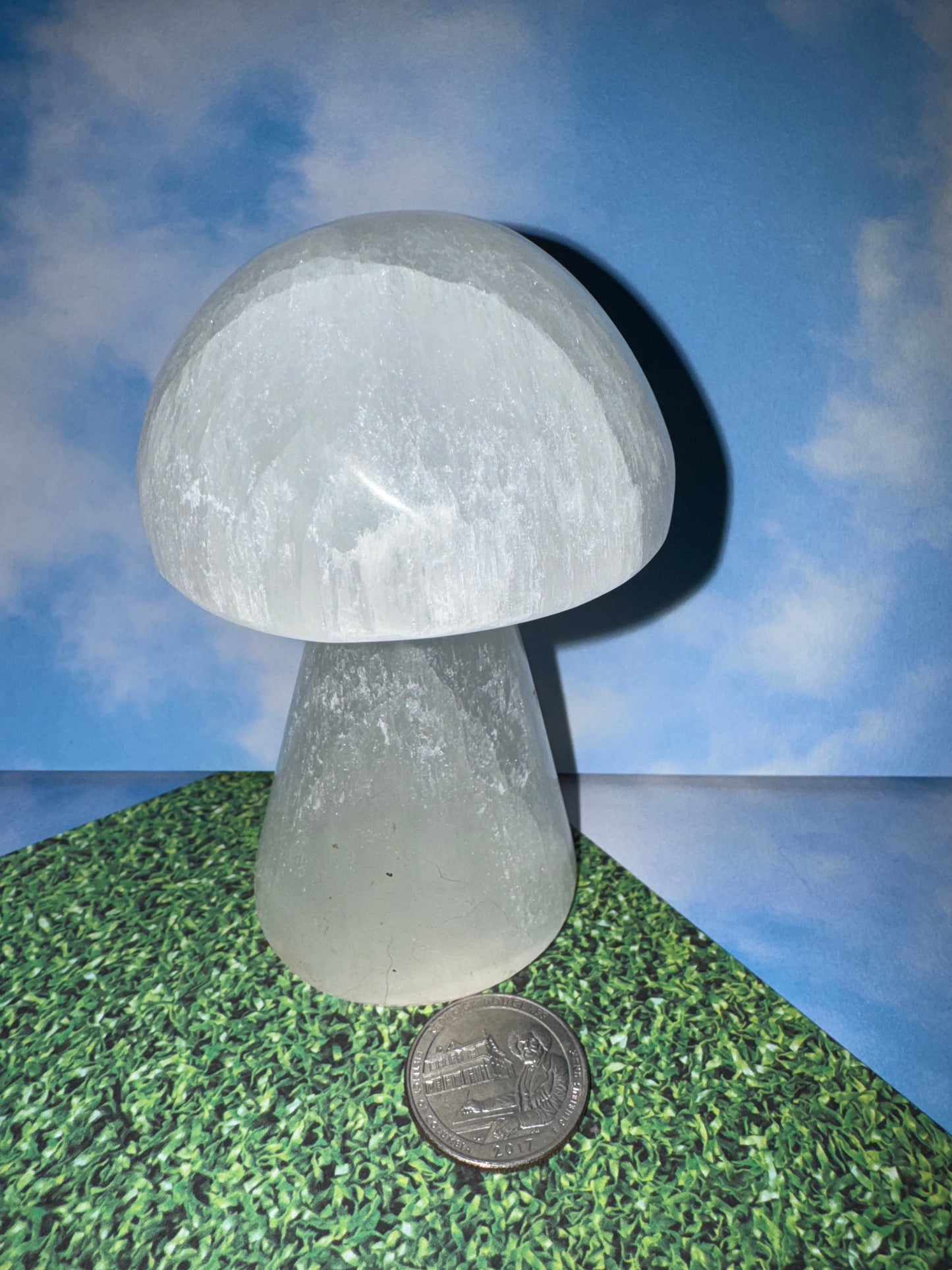 SELENITE MUSHROOM- Clarity, Cleansing, Spiritual Connection