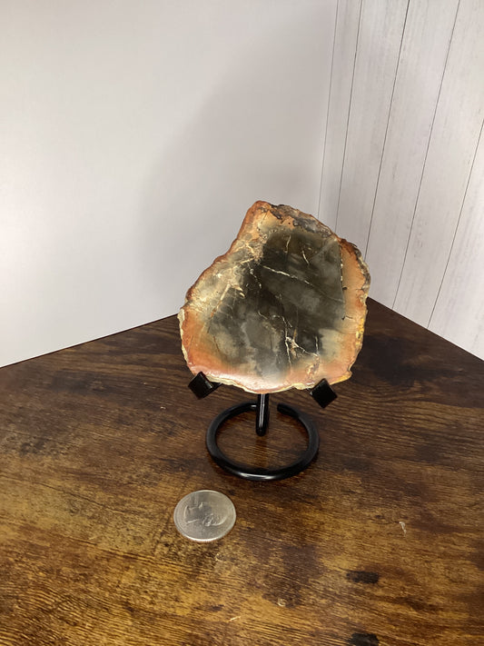 Petrified wood slab 186g