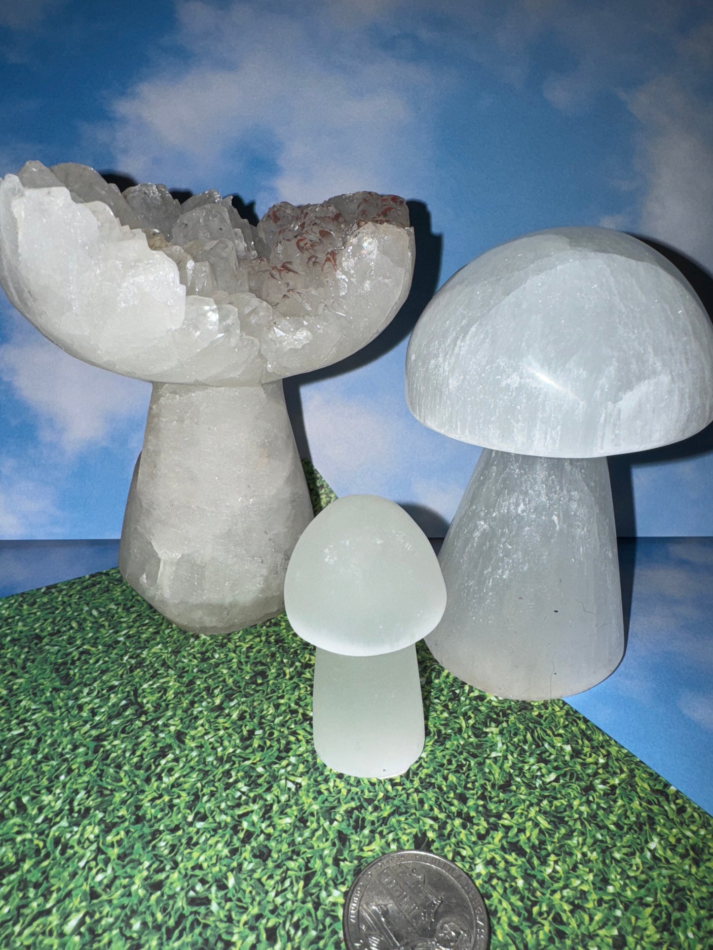 SELENITE MUSHROOM- Clarity, Cleansing, Spiritual Connection