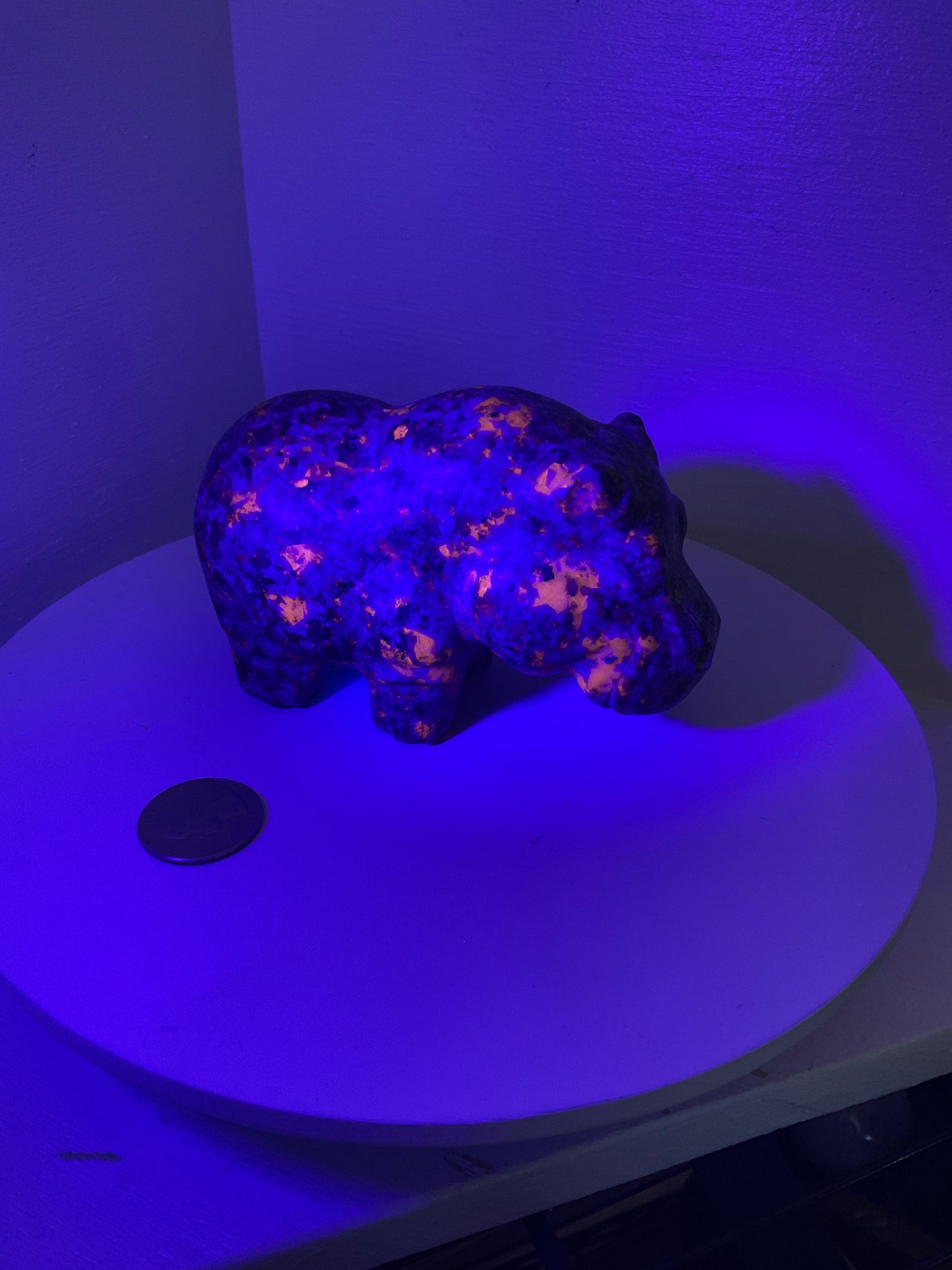 YOOPERLITE HIPPO - Transformation, Truth, Grounding Energy