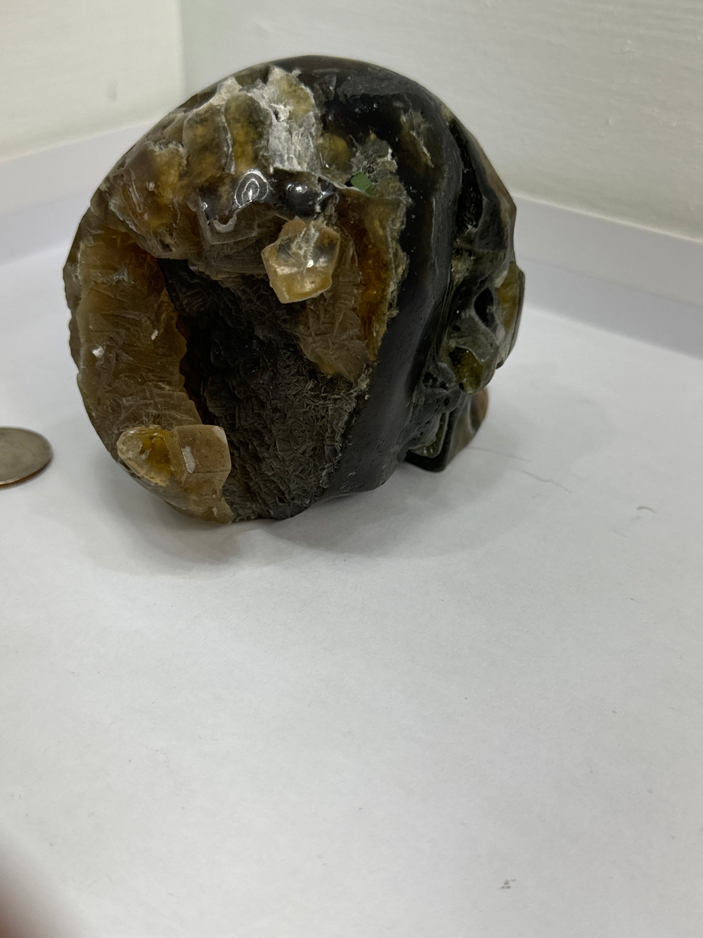 AMBER SKULL-Healing, Protection, Positive Energy