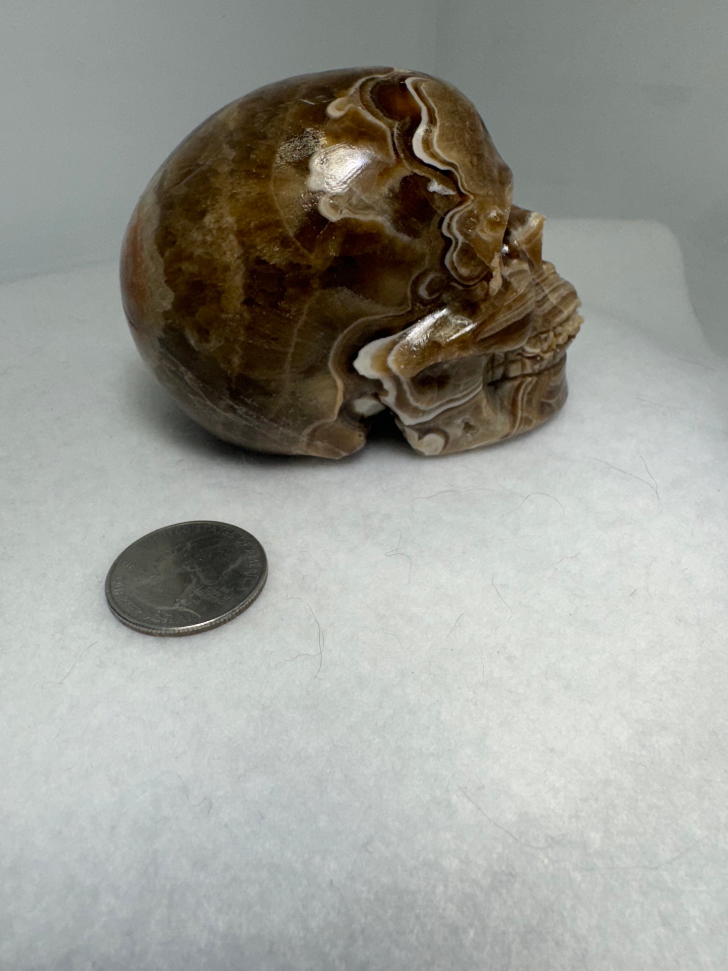 AMBER SKULL-Healing, Protection, Positive Energy