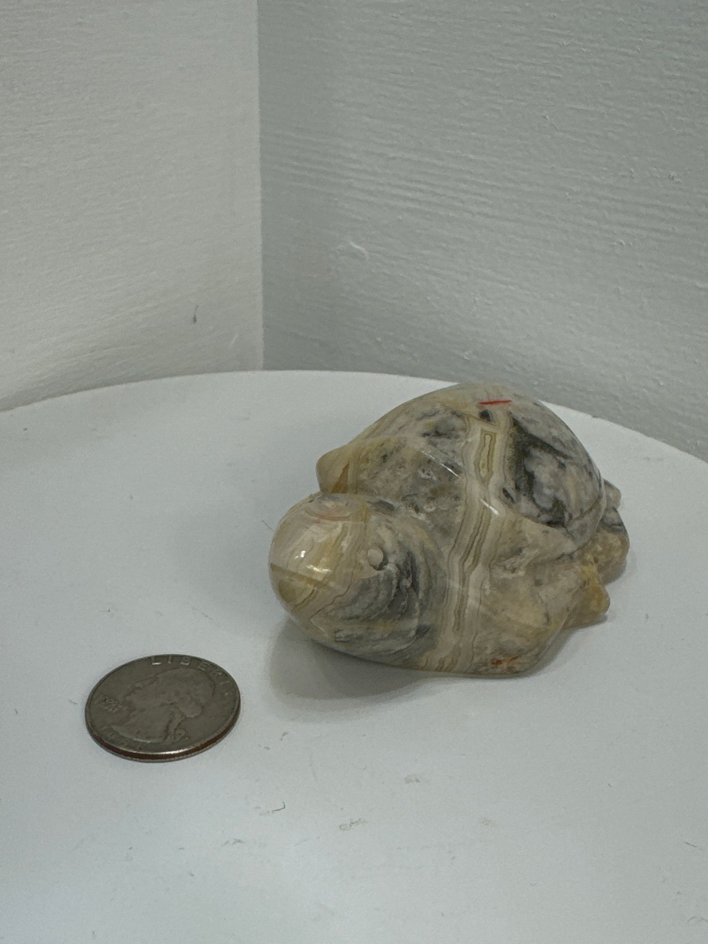 MEXICAN LACE AGATE TURTLE - Harmony, Resilience, and Emotional Healing