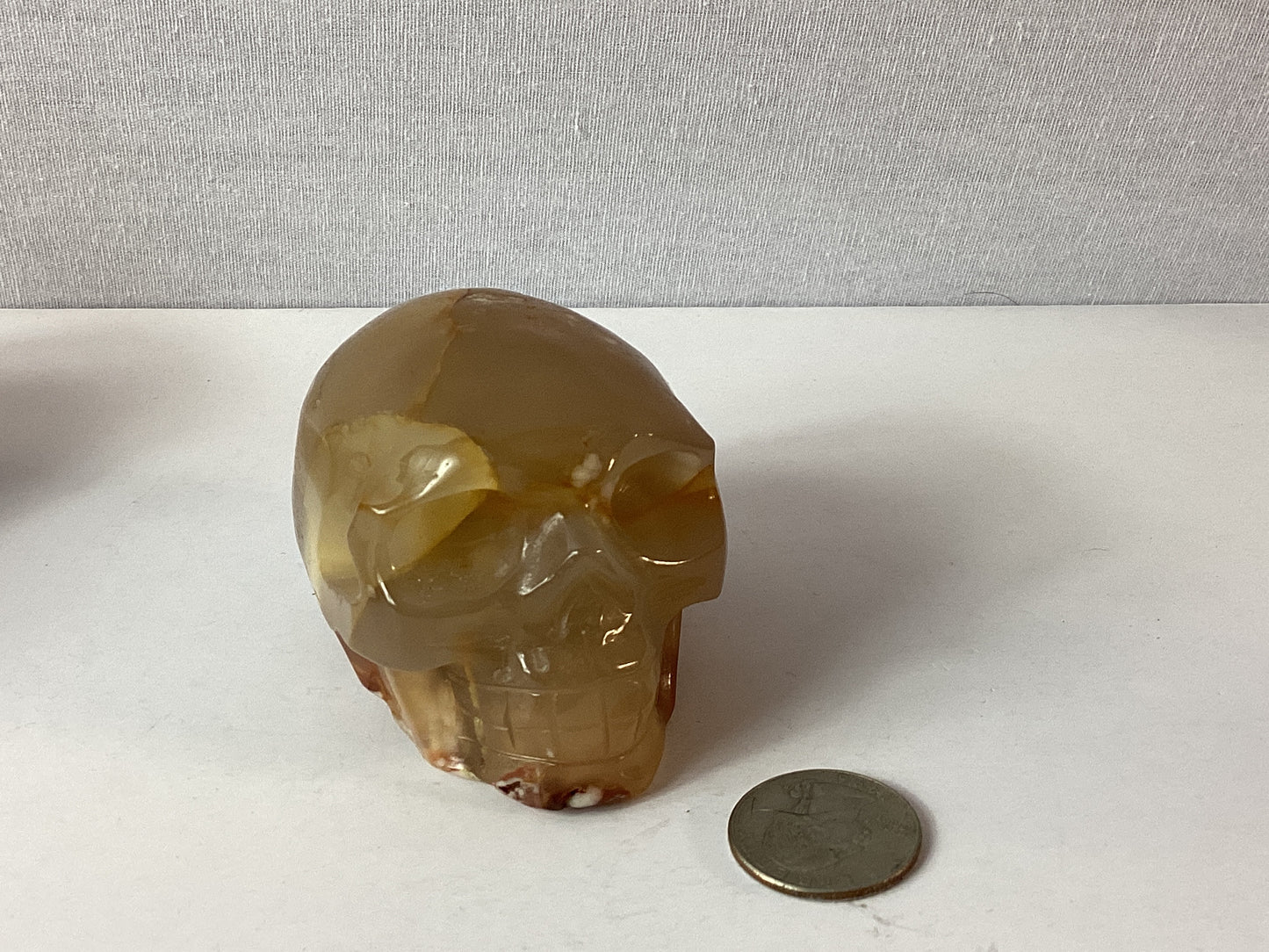 FLOWER AGATE SKULL-growth, manifestation, transformation