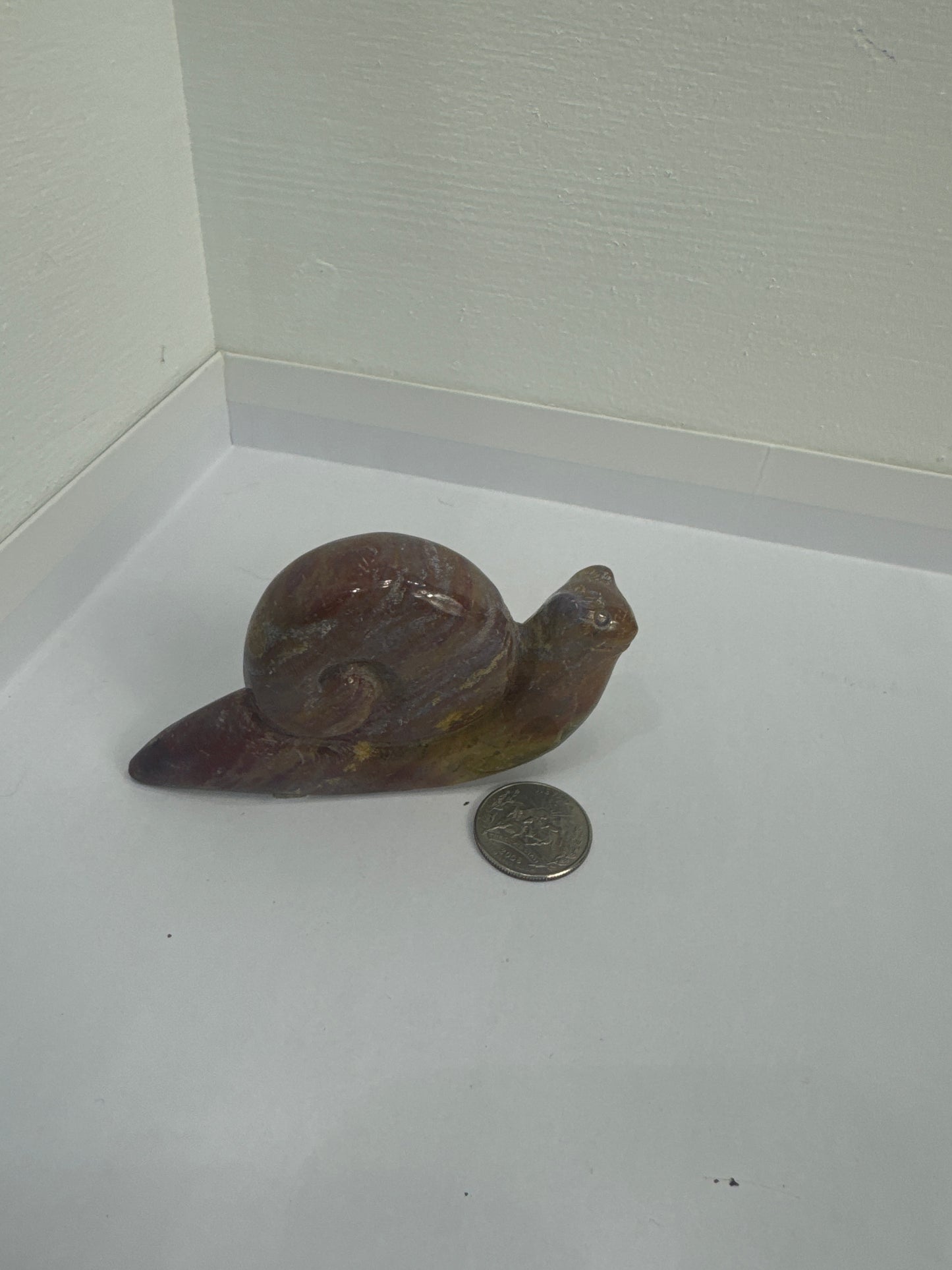 SNAIL CARVINGS- Patience, Persistence, and Grounding