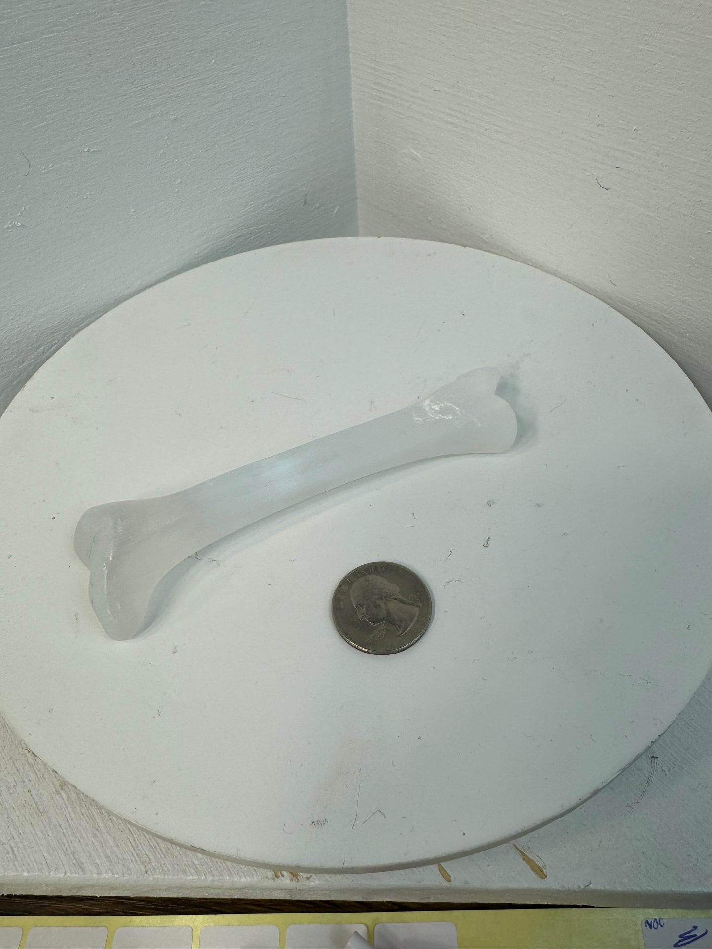 SELENITE BONE- purity, protection, and spiritual connection