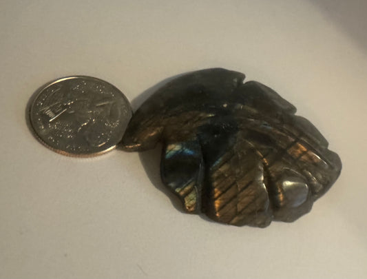 LABRADORITE LEAF-Transformation, Intuition, Nature’s Magic