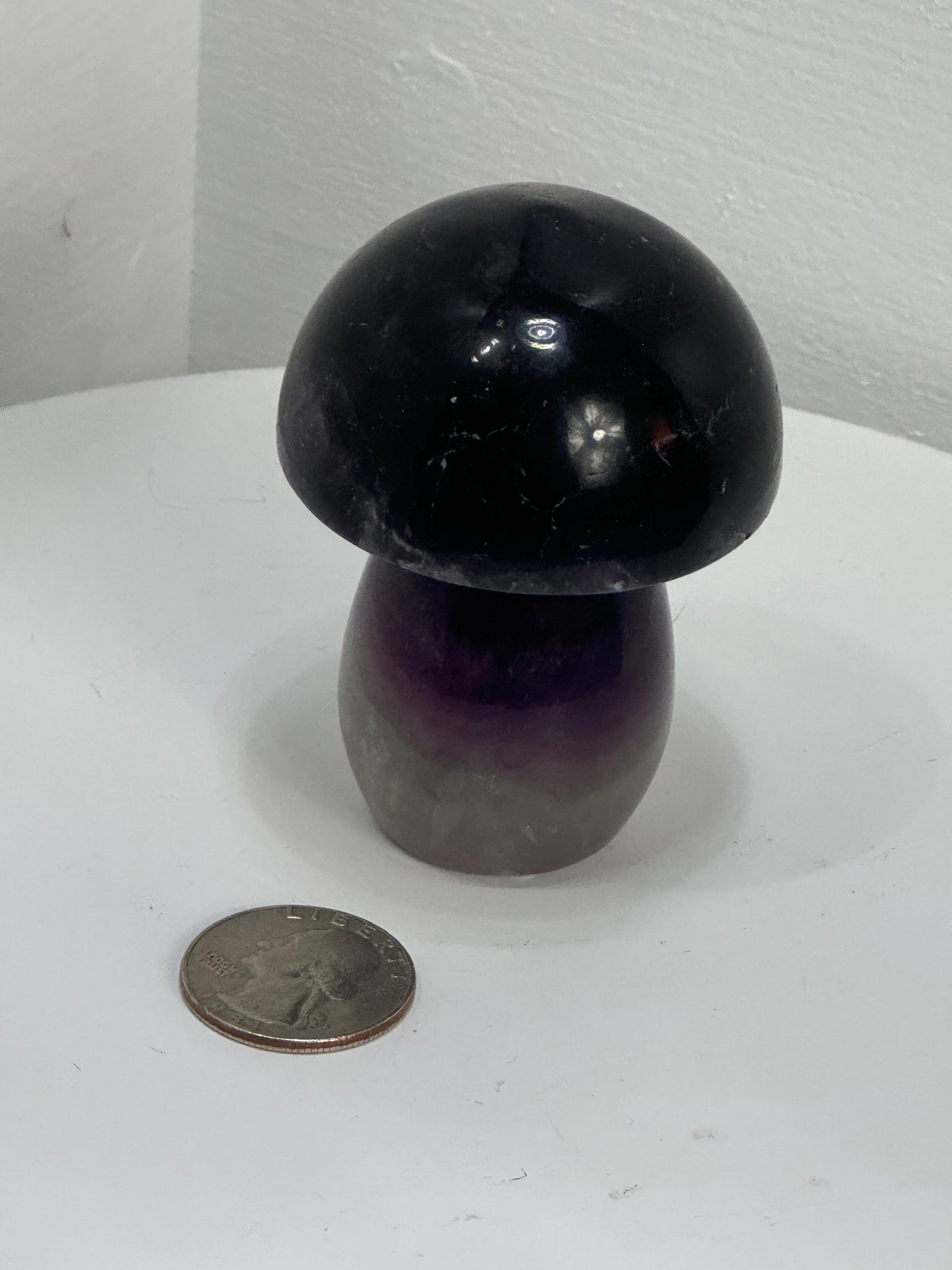 FLUORITE MUSHROOM CARVING-clarity, focus, growth