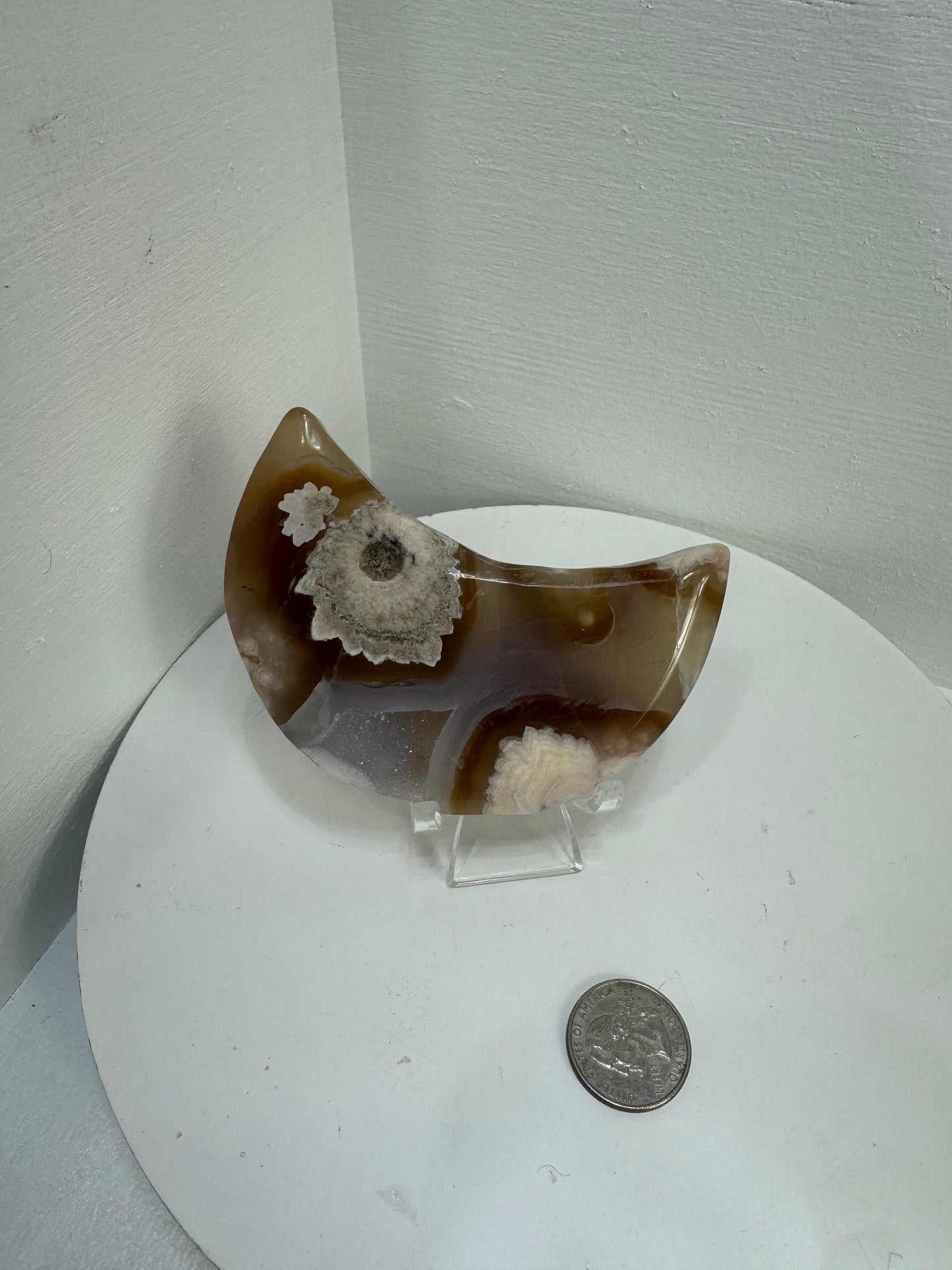 FLOWER AGATE MOON-growth, manifestation, personal transformation