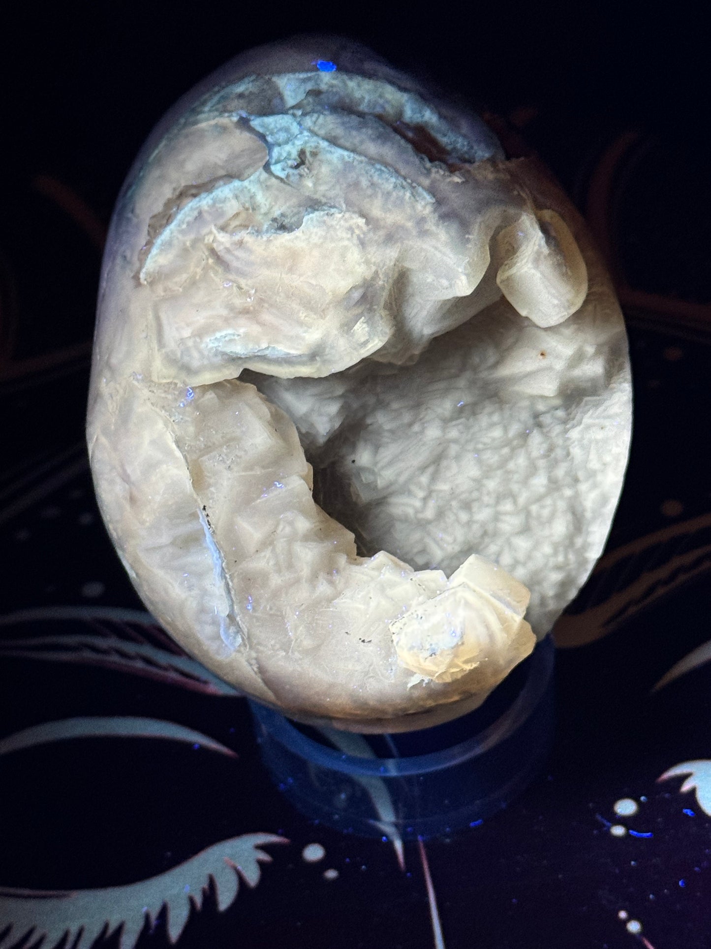 AMBER SKULL-Healing, Protection, Positive Energy
