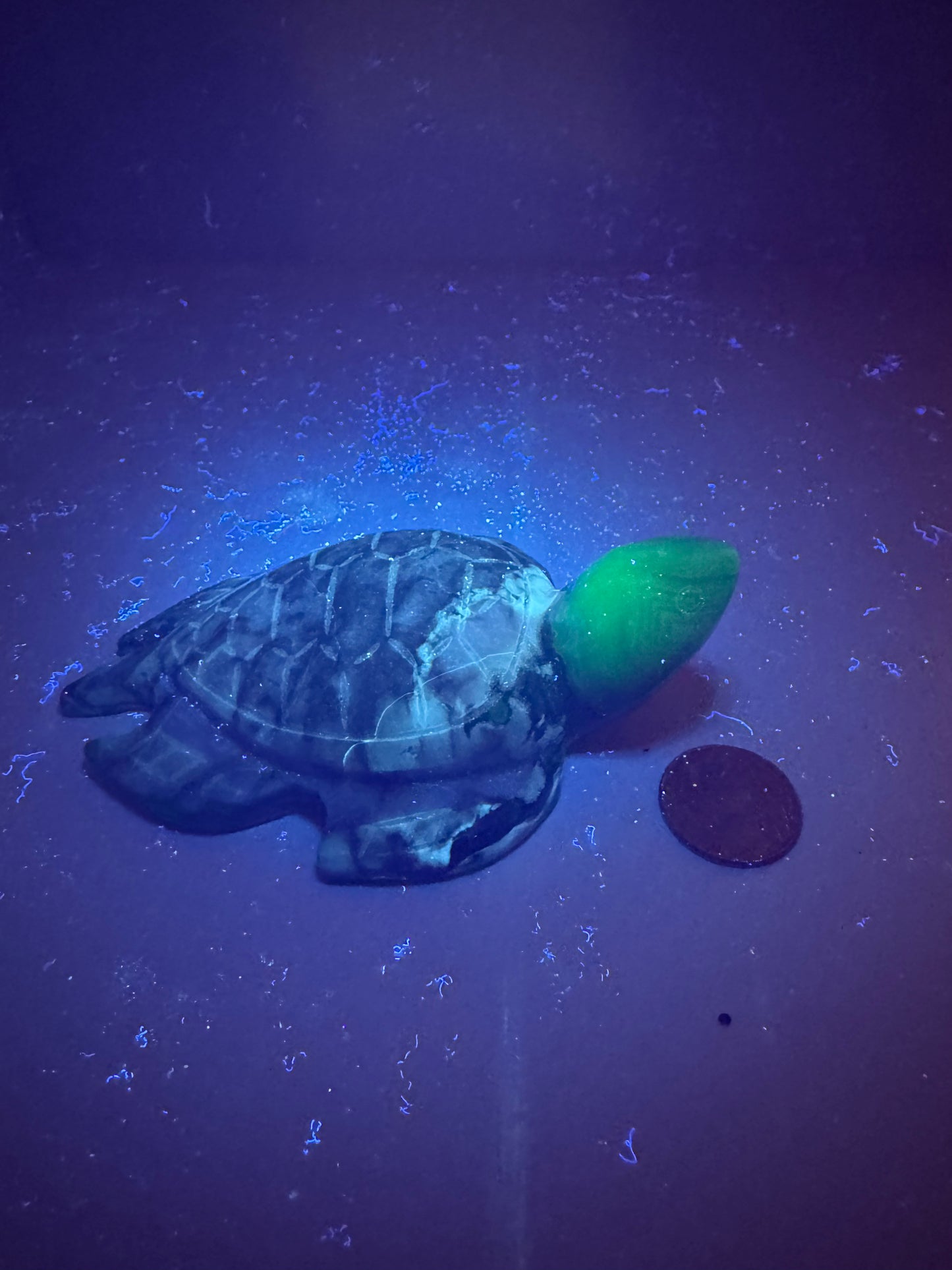 VOLCANO AGATE TURTLE-Strength, Protection, Grounding Energy
