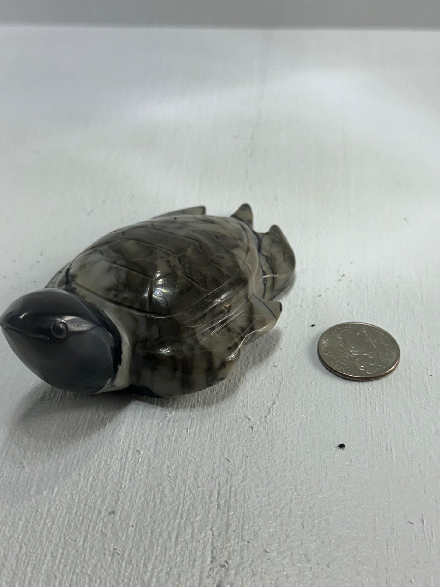 VOLCANO AGATE TURTLE-Strength, Protection, Grounding Energy