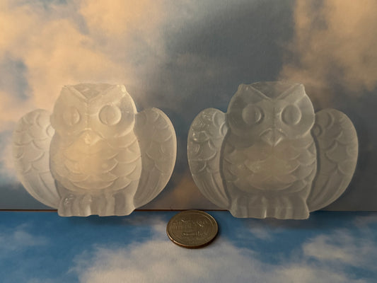SELENITE OWLS-Wisdom, Protection, Spiritual Clarity