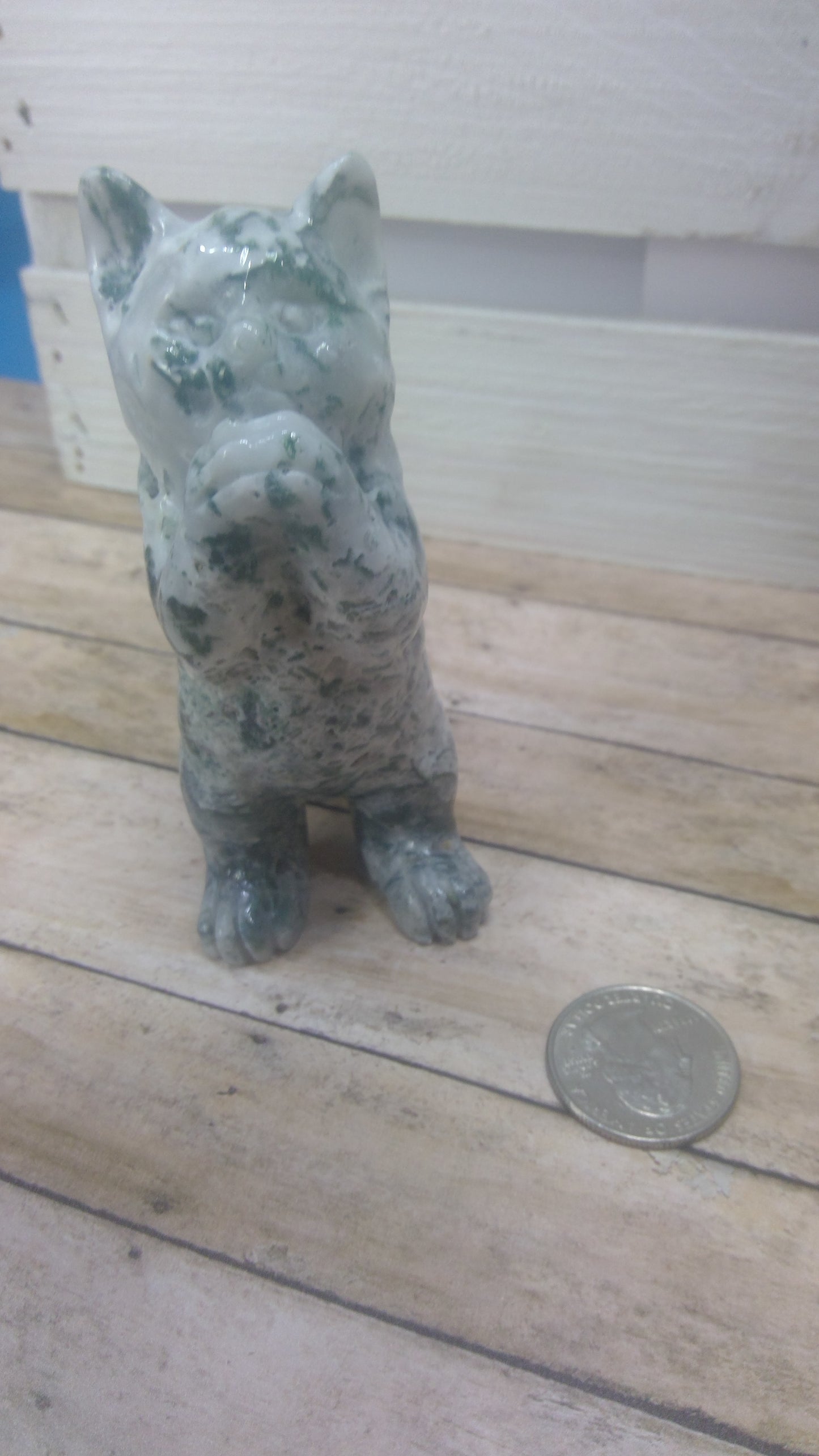 MOSS AGATE CAT -Intuition, Growth, Connection to Nature