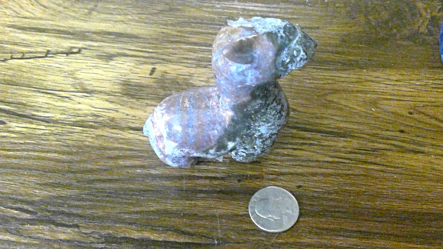 OCEAN JASPER LLAMA- Serenity, Strength, Playfulness