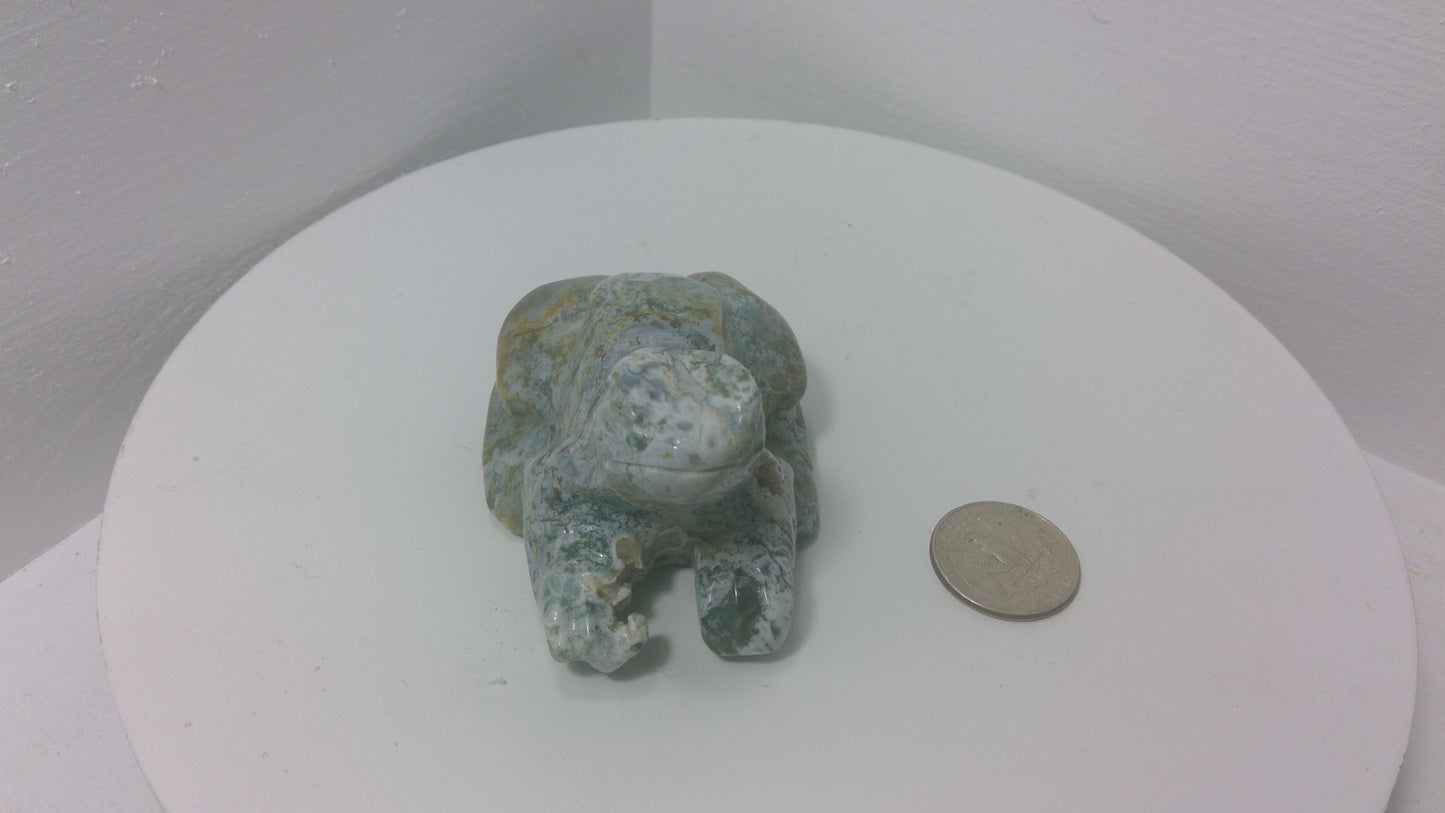 MOSS AGATE FROG-Transformation, Growth, Grounding